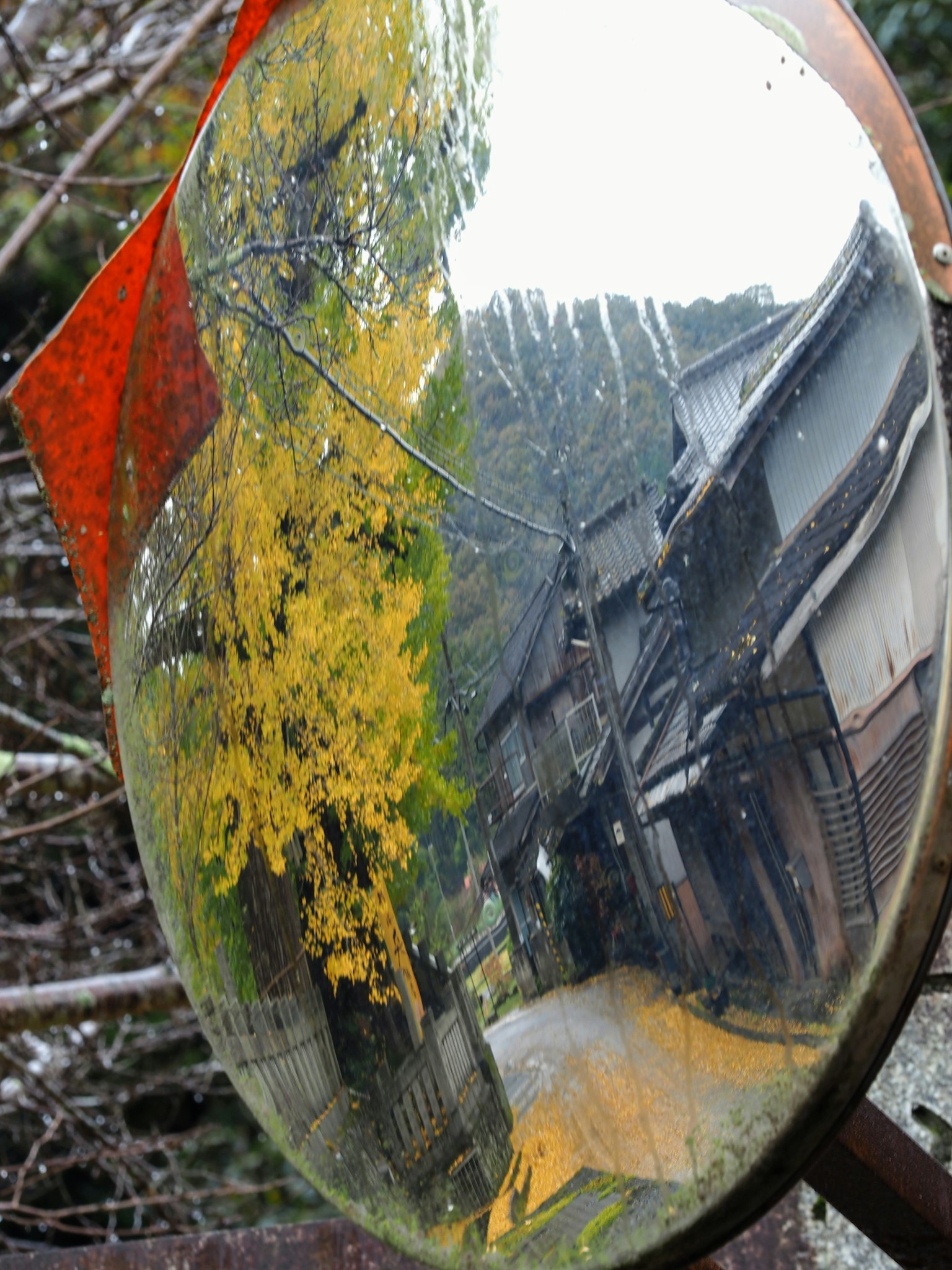 Reflejo de árboles de otoño y casas tradicionales en un espejo