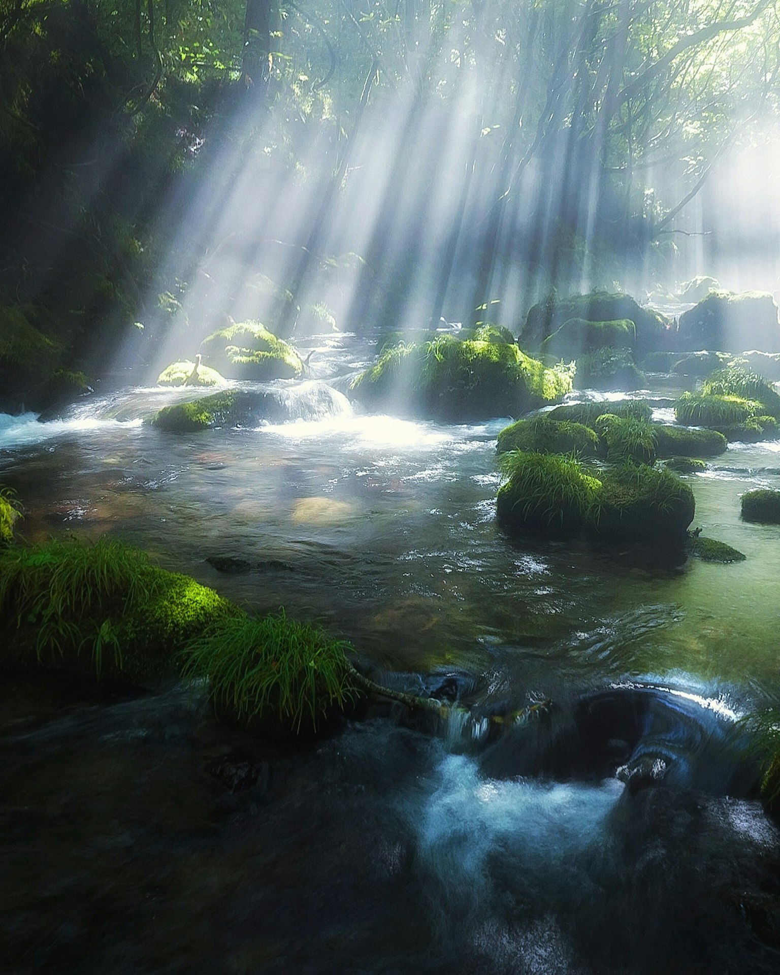 Lumière du soleil filtrant à travers les arbres sur un ruisseau serein avec des rochers moussus