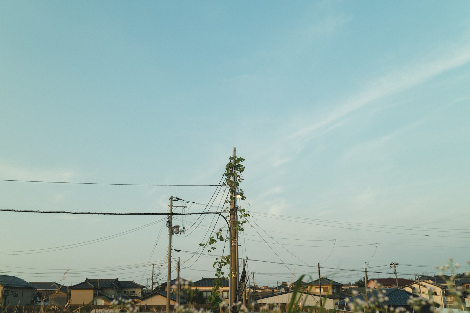 住宅区与蓝天和电线杆