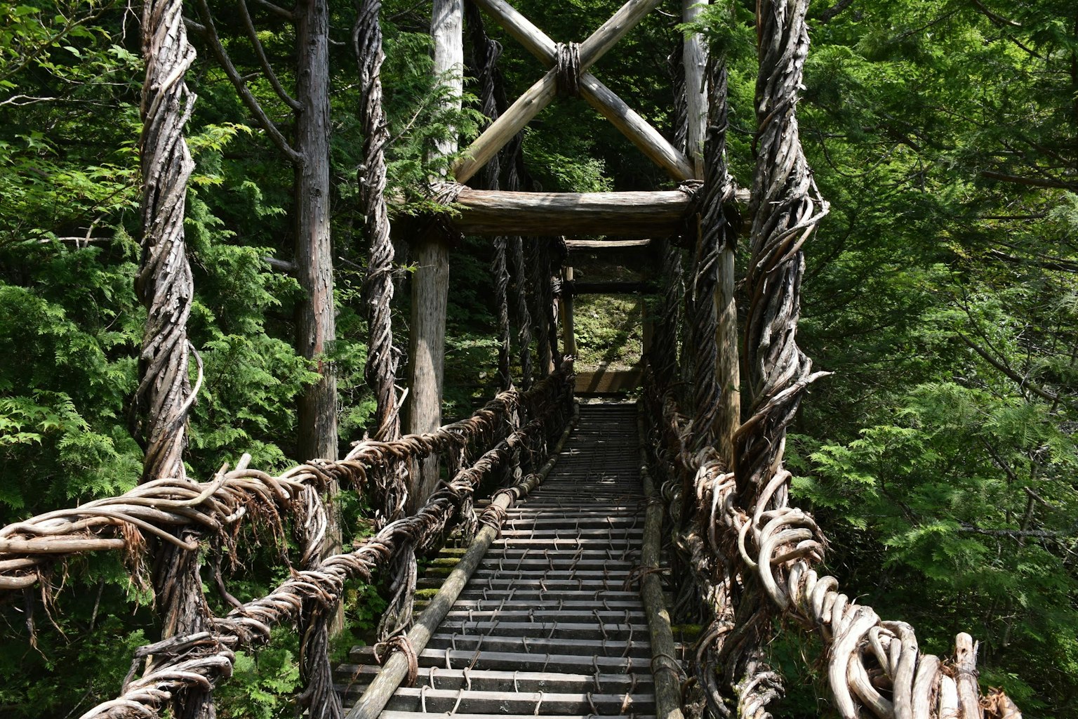 Jembatan gantung kayu dikelilingi hutan hijau