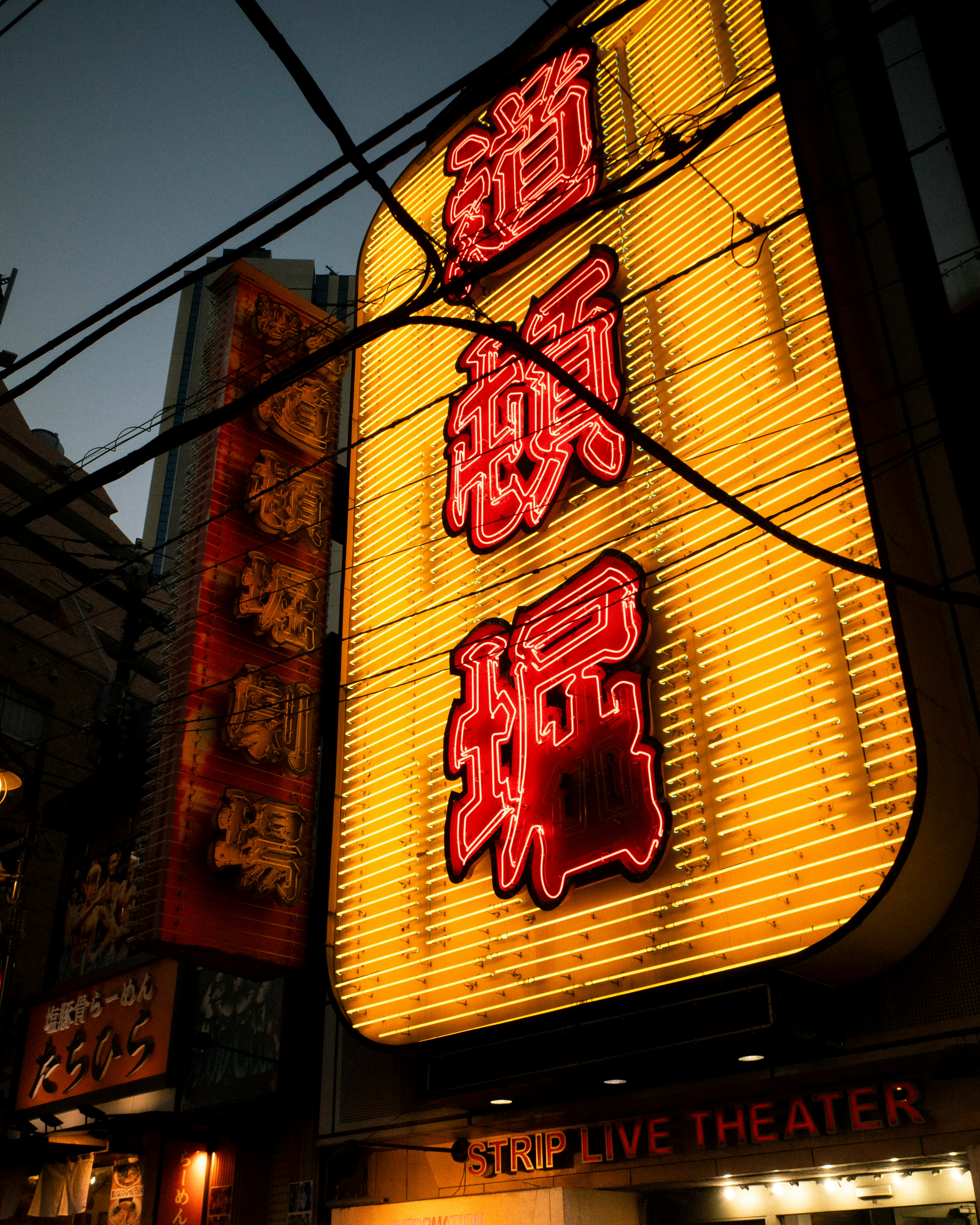路地の看板が光る飲食店の外観