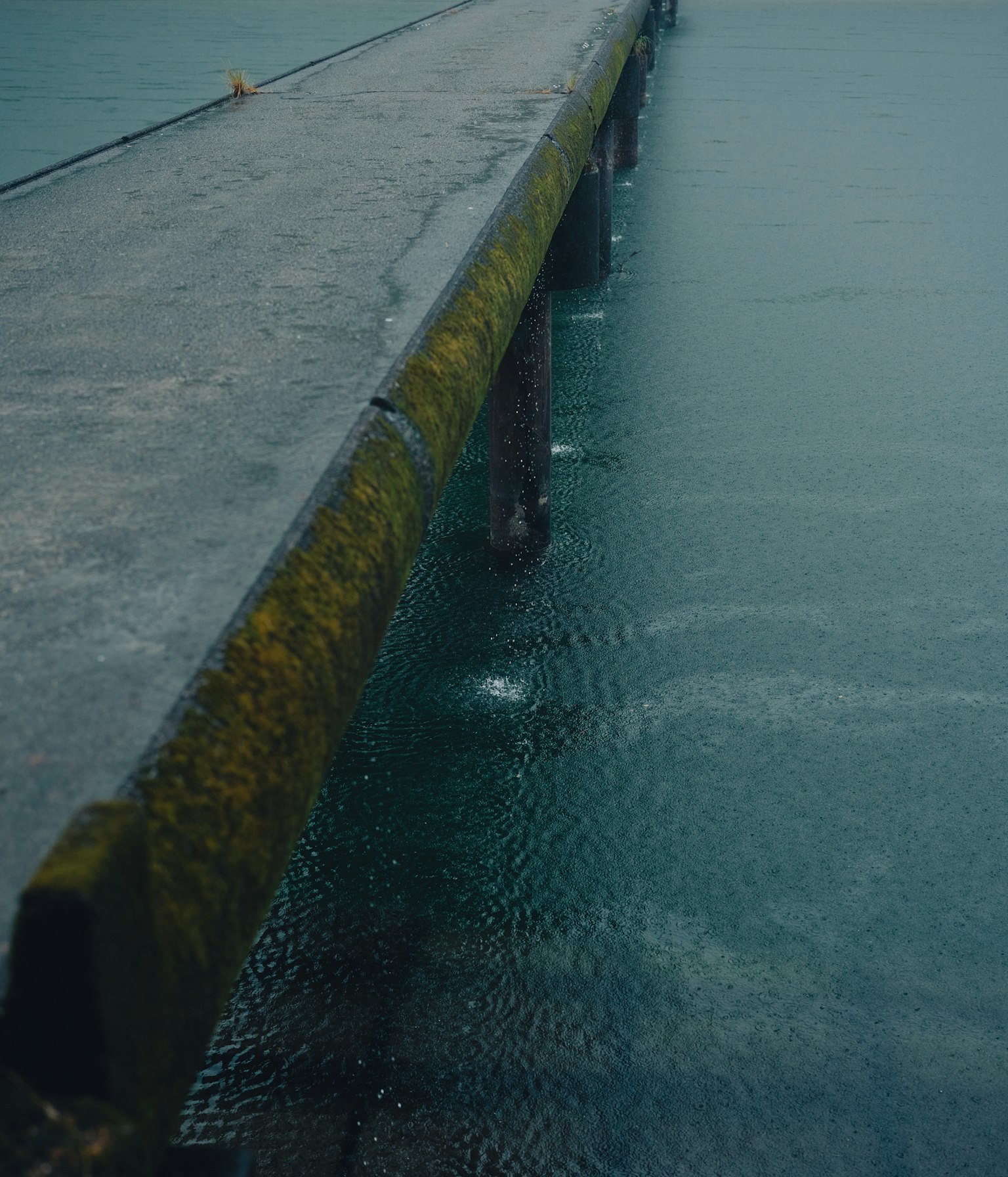 Vista de un viejo muelle sobre el agua con musgo verde en las tablas de madera