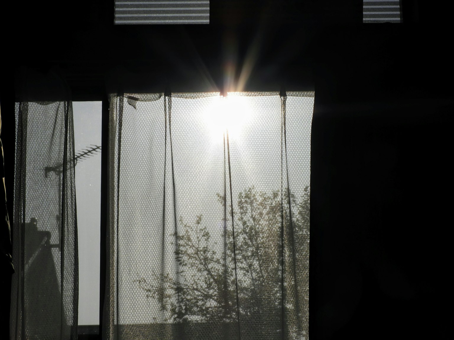 Sonnenlicht, das durch transparente Vorhänge strömt, mit Silhouetten von Bäumen draußen