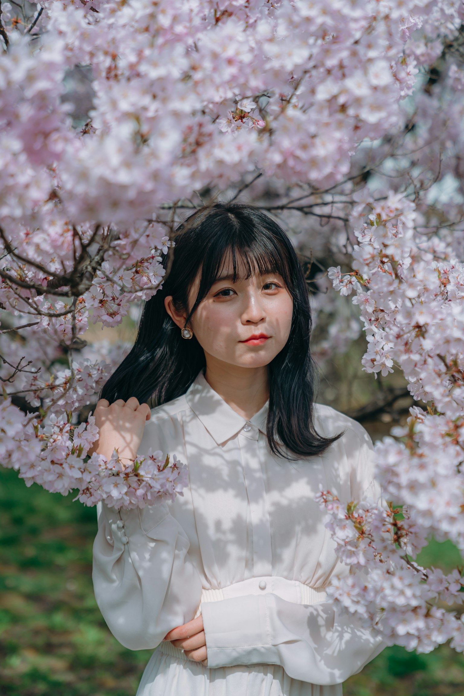 樱花树下的女孩肖像