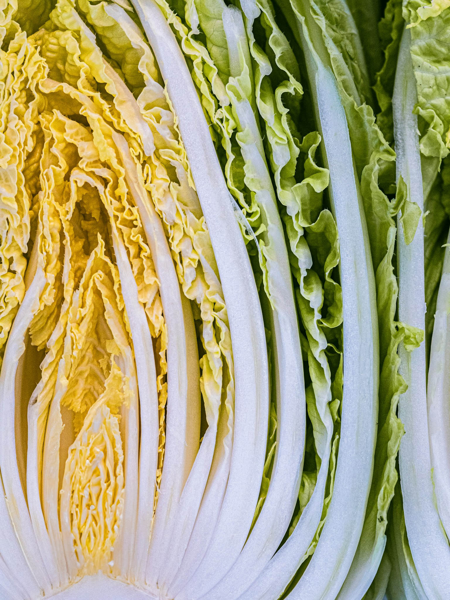 photo-BGH9e19BbU9NjSeyxtJa-image