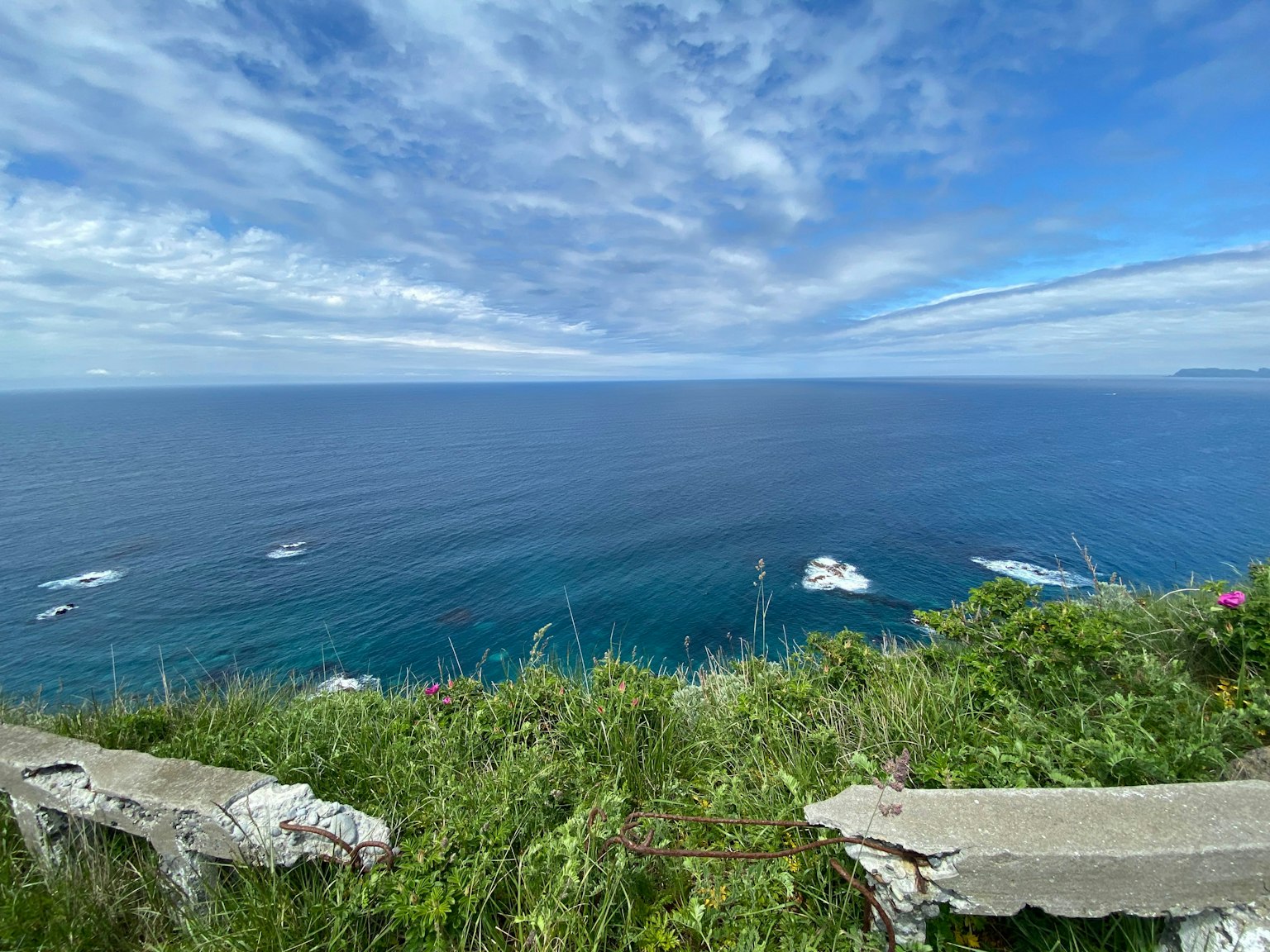 Schöner Blick auf das blaue Meer und den Himmel von einer Klippe mit üppigem Gras und Blumen
