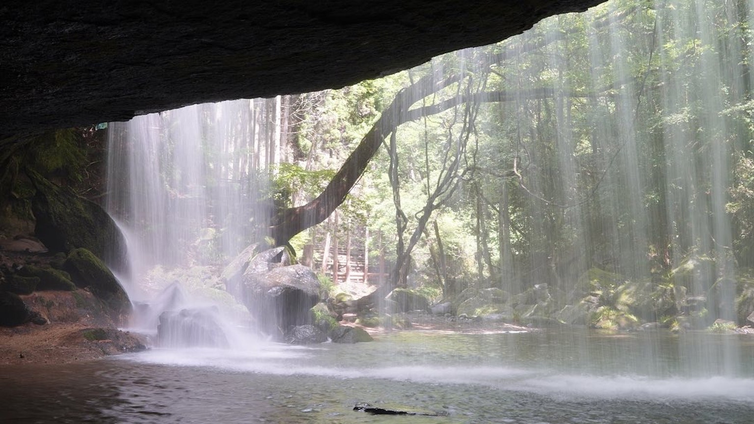 Pemandangan indah hutan lebat di belakang kabut air terjun dengan efek cahaya yang indah
