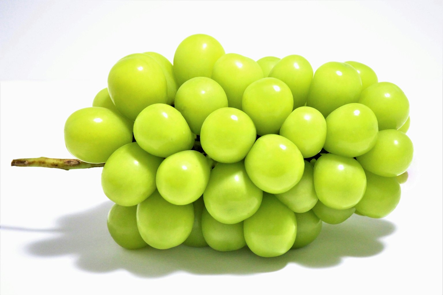 Un grappolo di uva verde fresca su uno sfondo bianco