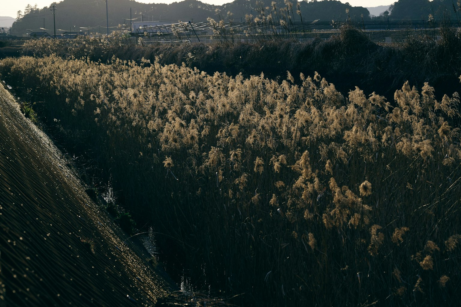 Ruhige Landschaft mit sanften Wiesen und Bergen