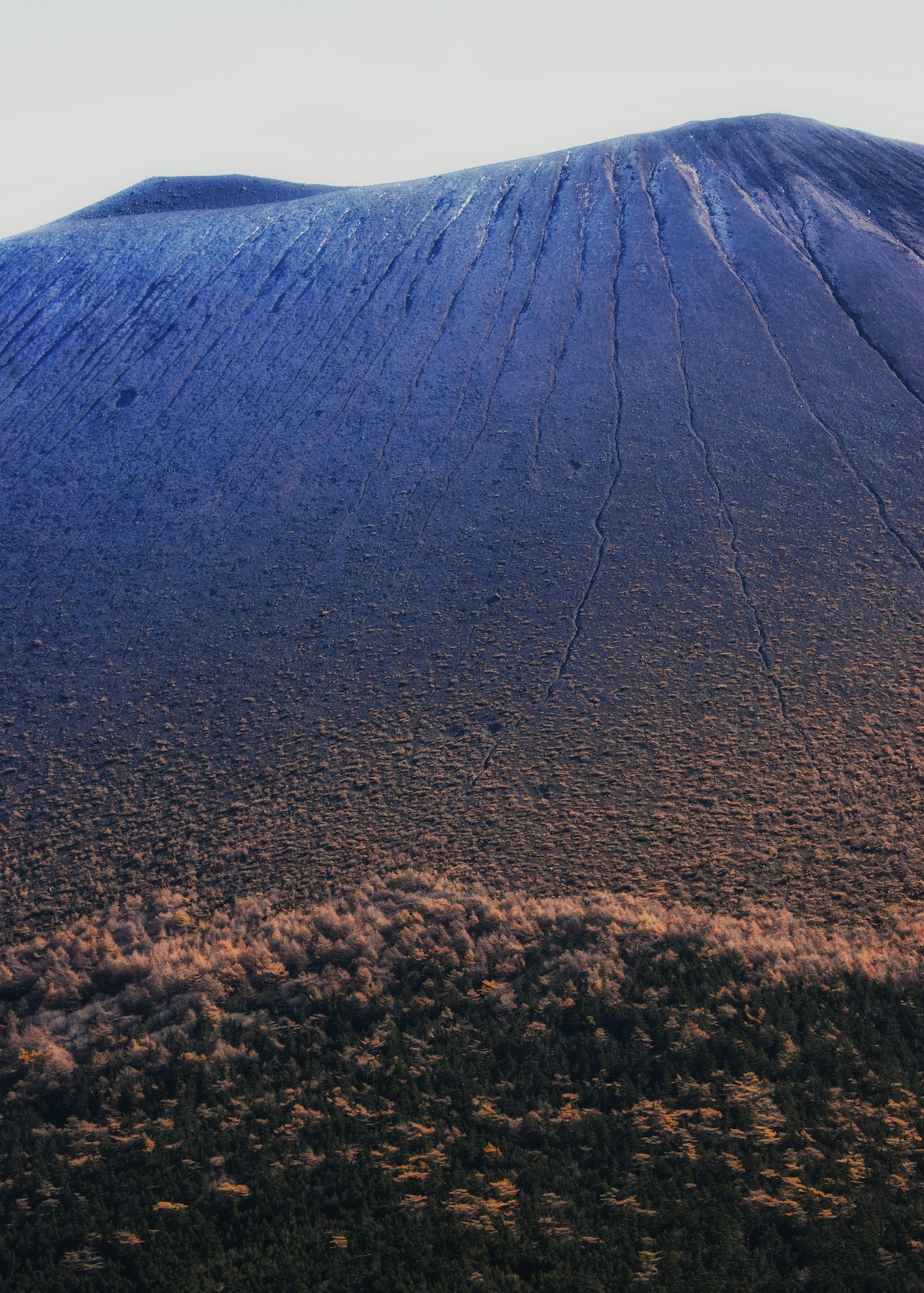 Blauer Bergabhang mit Waldlandschaft
