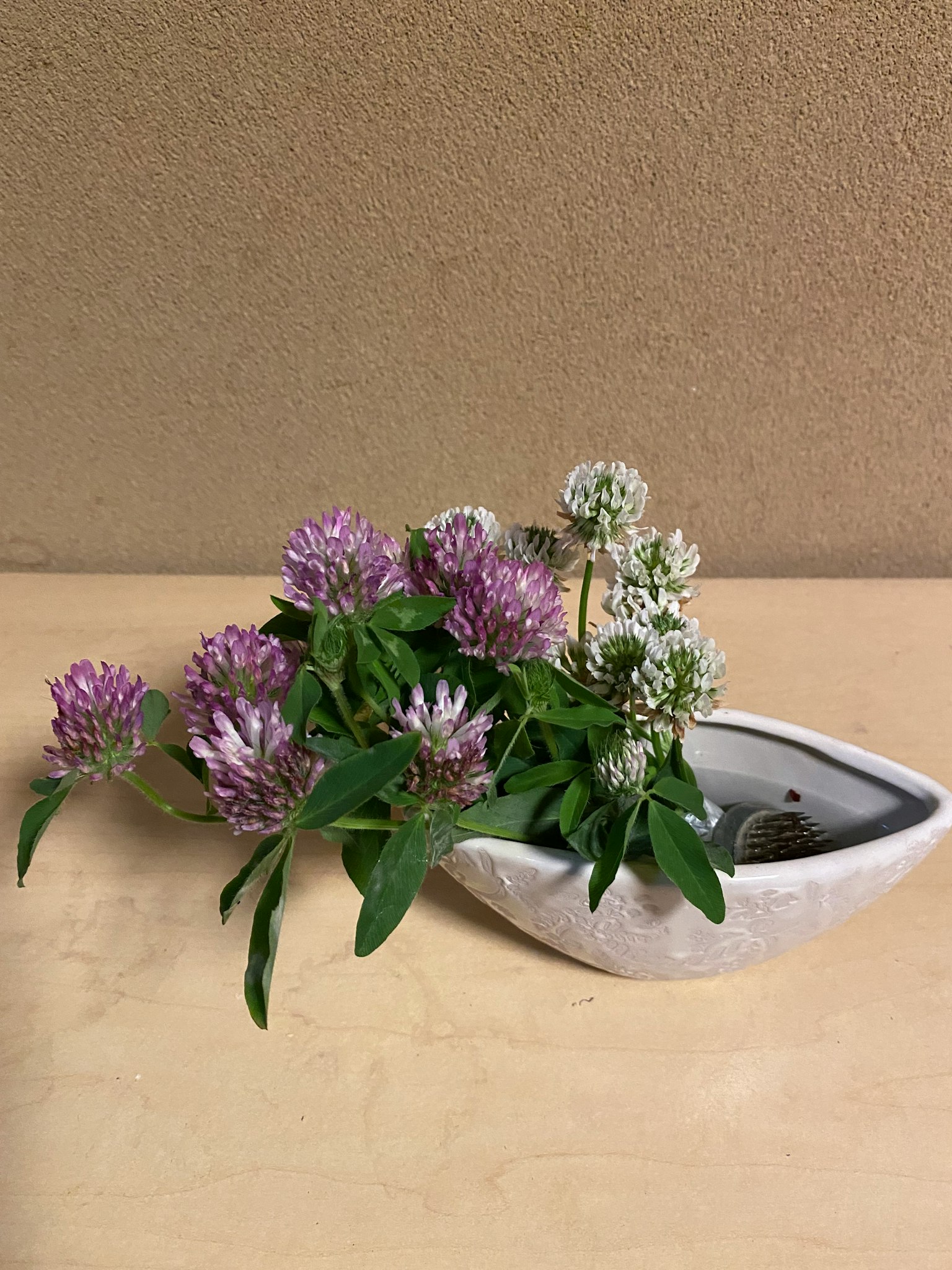 一个白色花瓶里放着紫色和白色的三叶草花