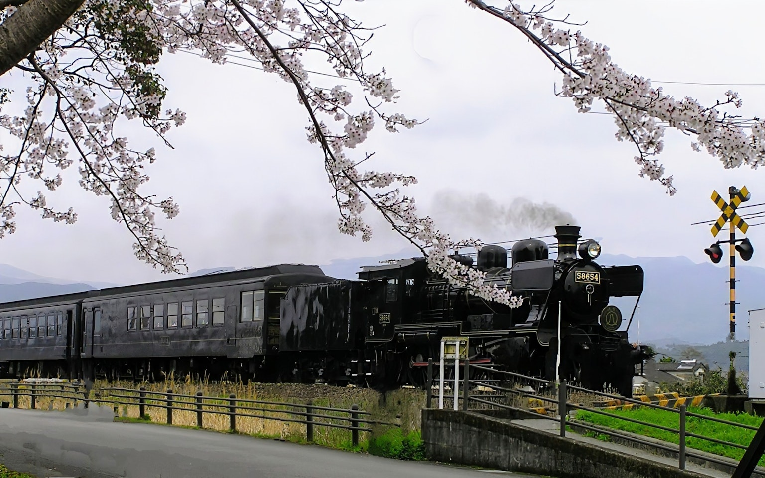 Locomotora de vapor negra pasando cerca de los cerezos en flor