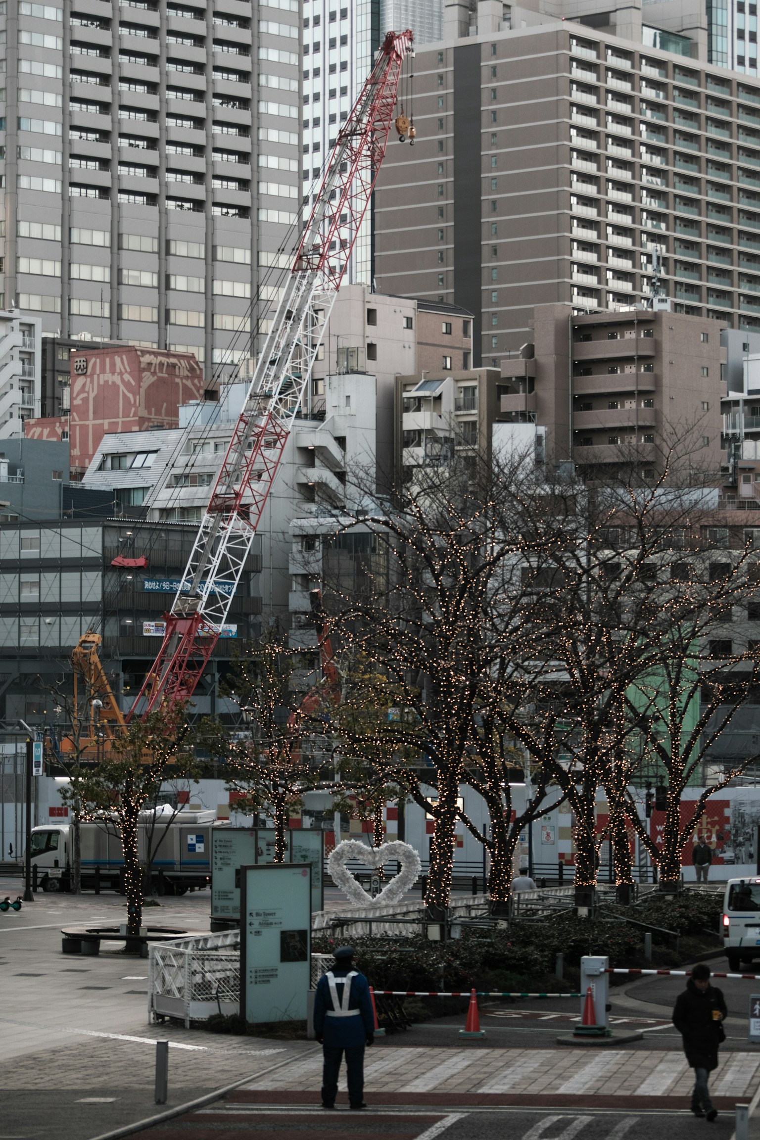 城市风景中有起重机和树木