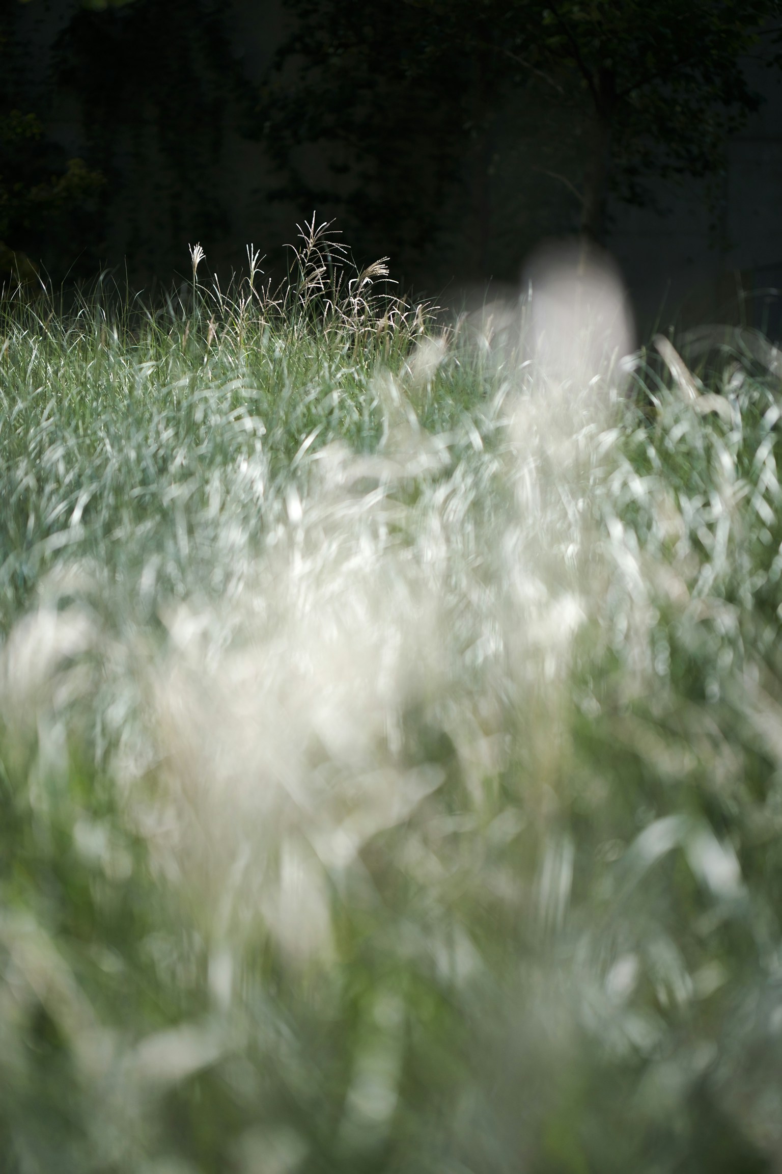 photo-BJxHGUQuFuqWIUbO8pyq-image