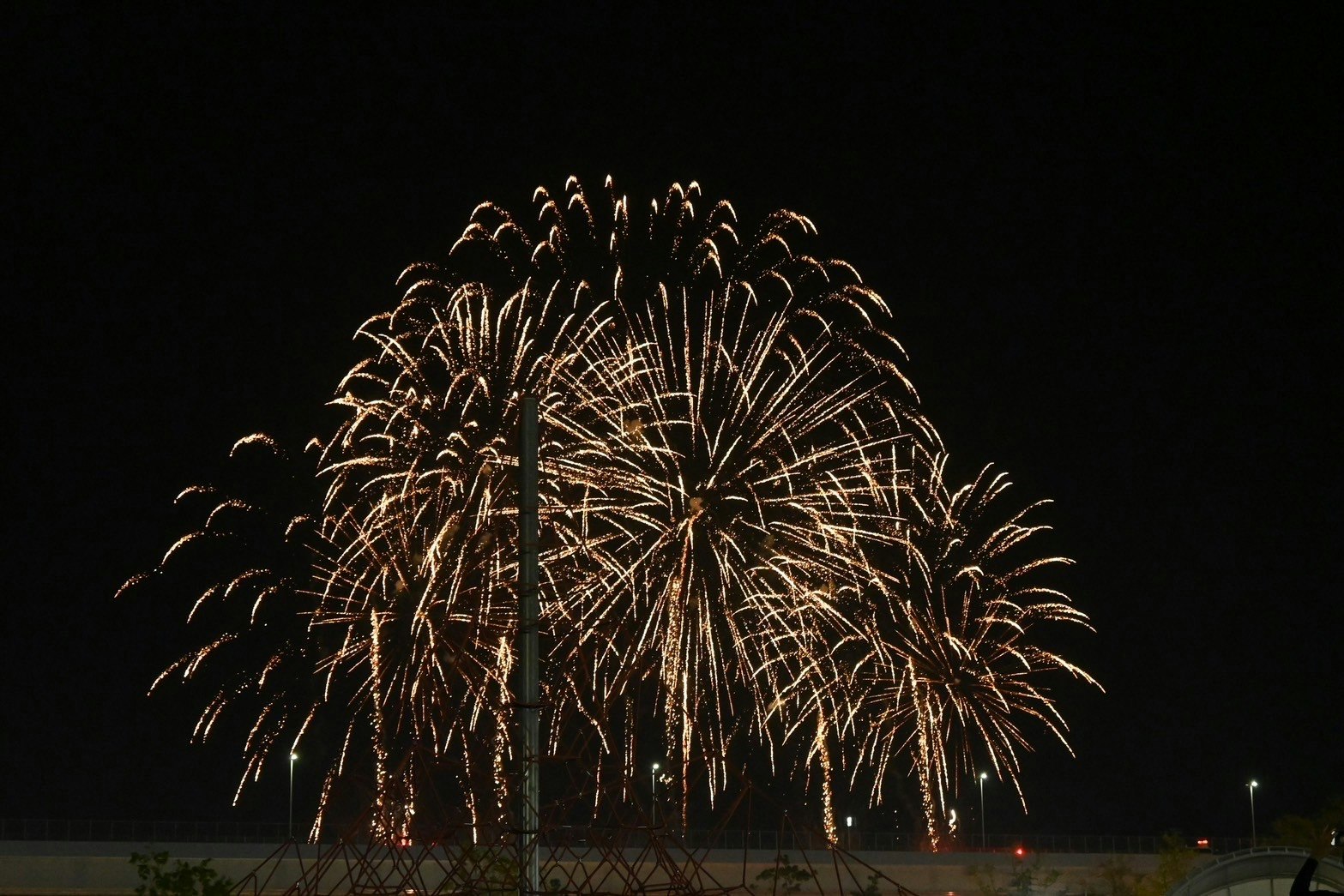 夜空中綻放的煙花影像