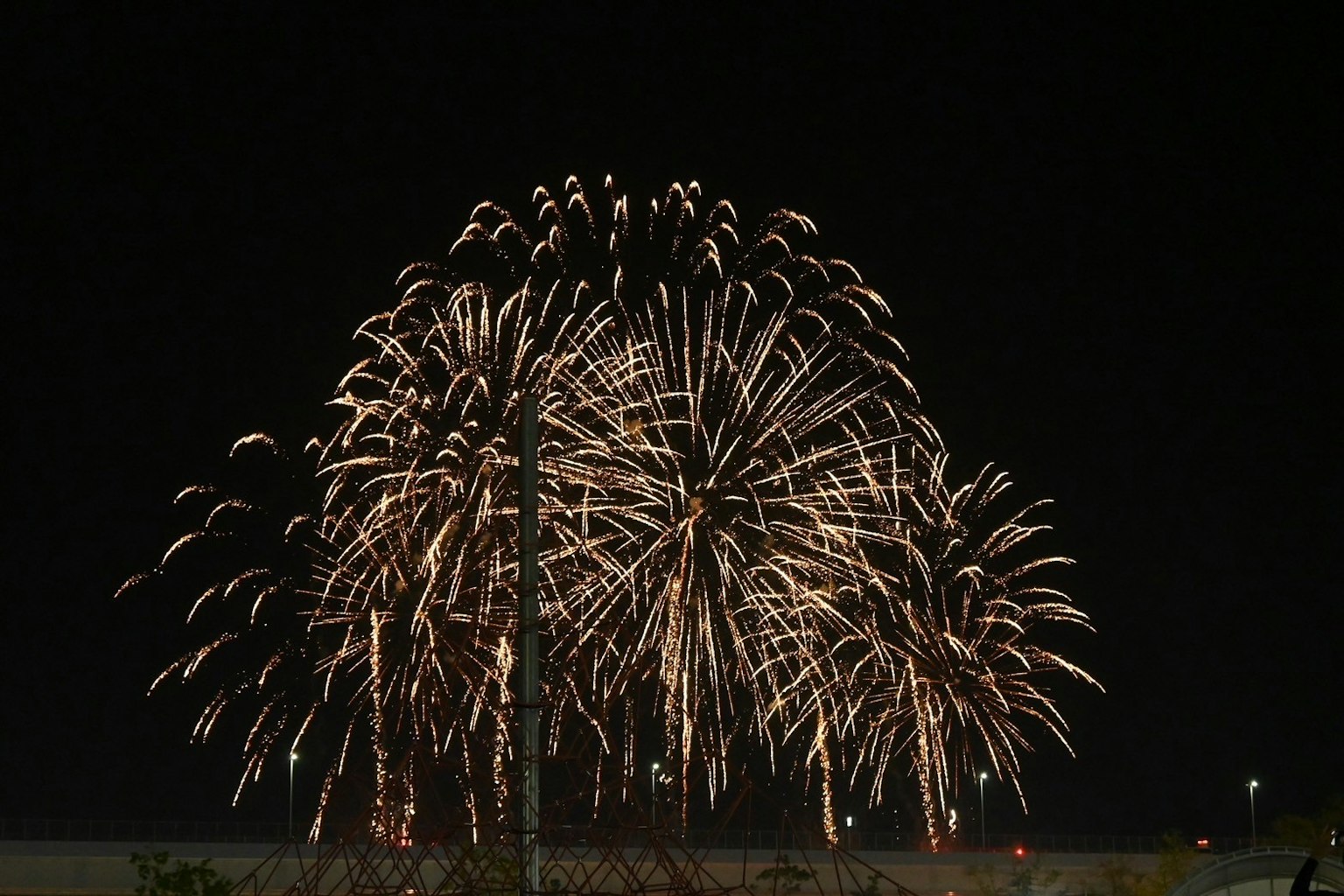 Fuochi d'artificio luminosi nel cielo notturno