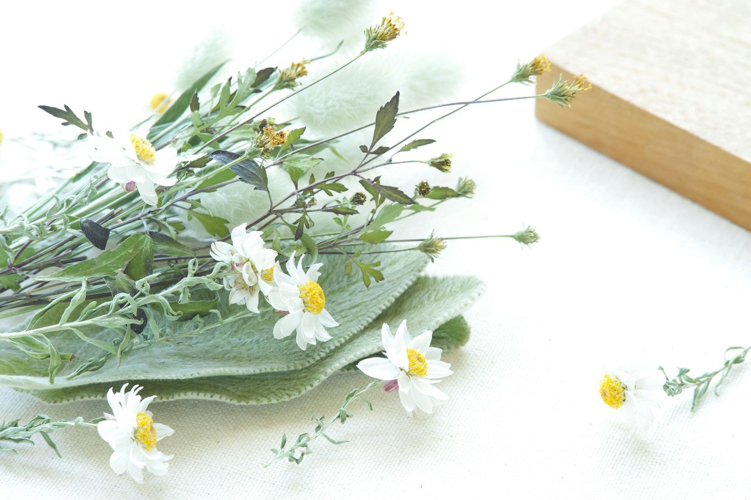 Arrangement of green leaves and white flowers on a white background