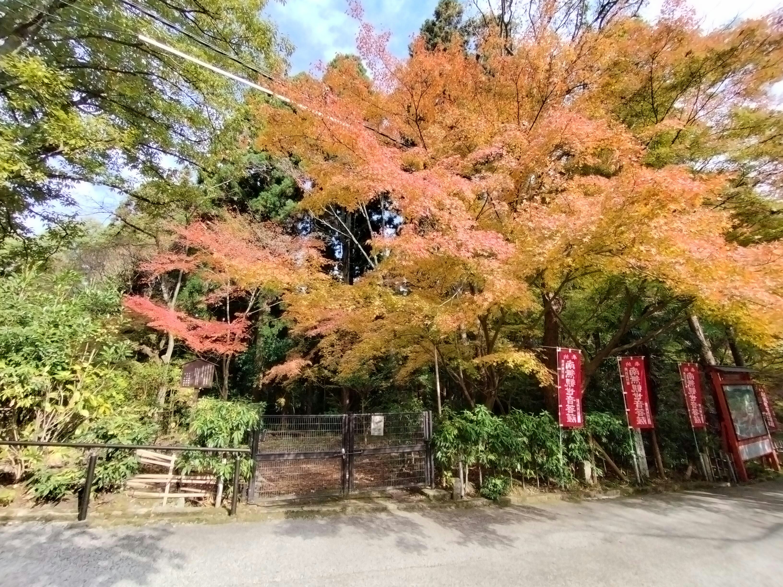 色づく木々が並ぶ山道の入口の景色