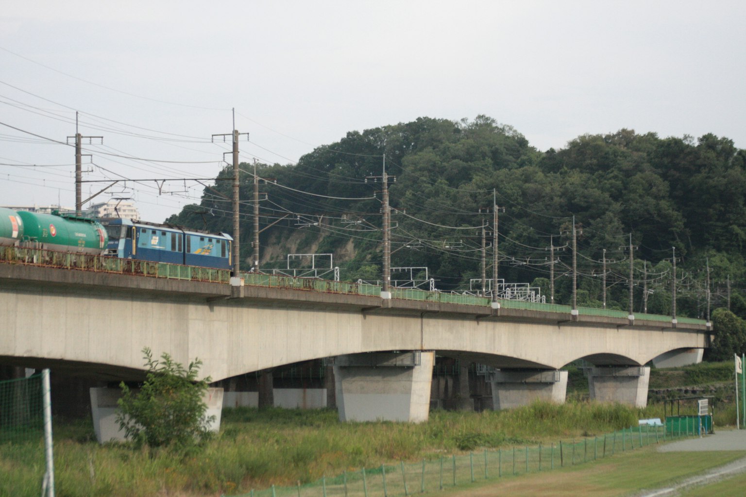 Treno in corsa su un ponte elevato con erba verde sotto
