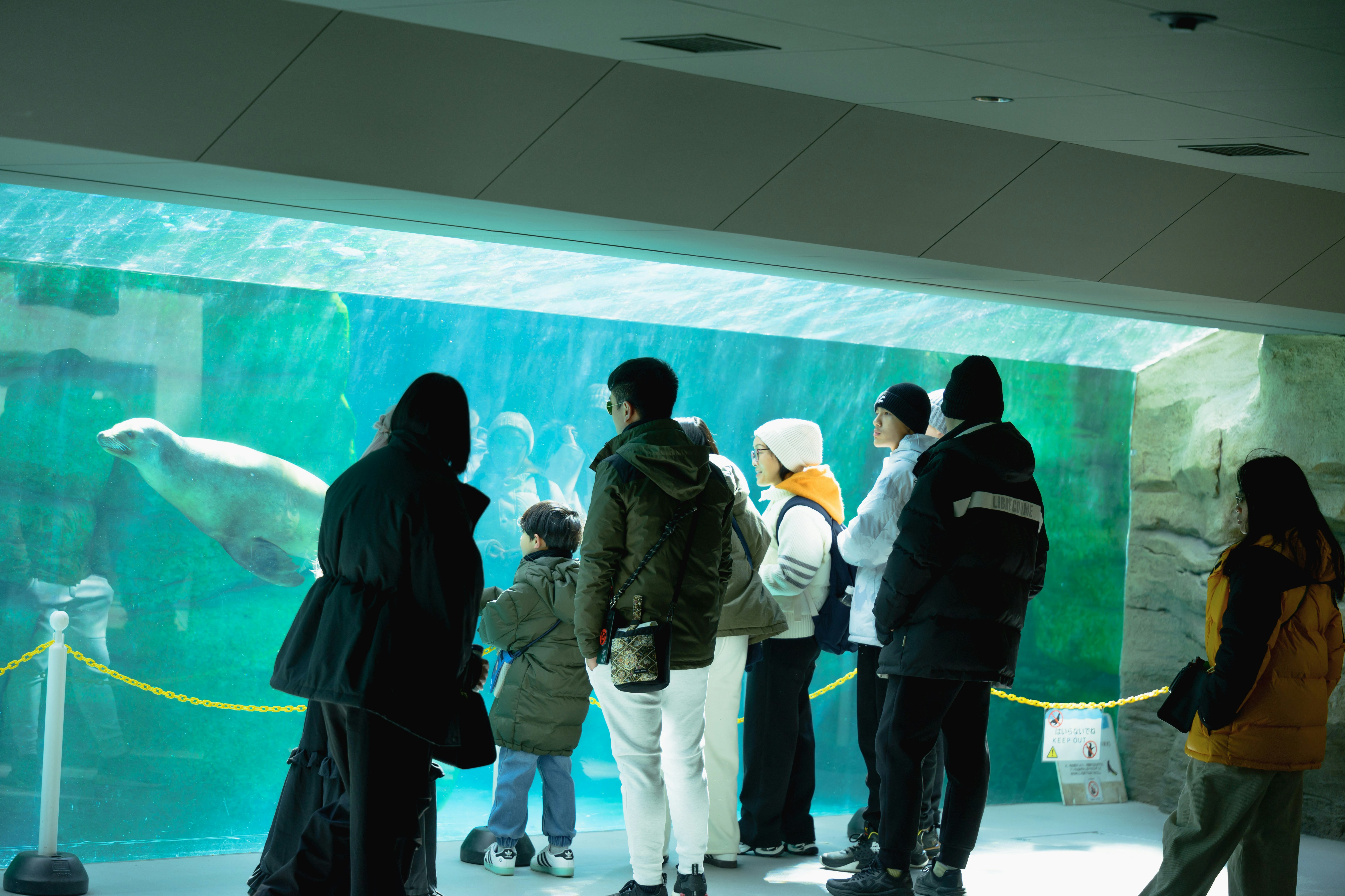 silhouettes de visiteurs devant un grand aquarium