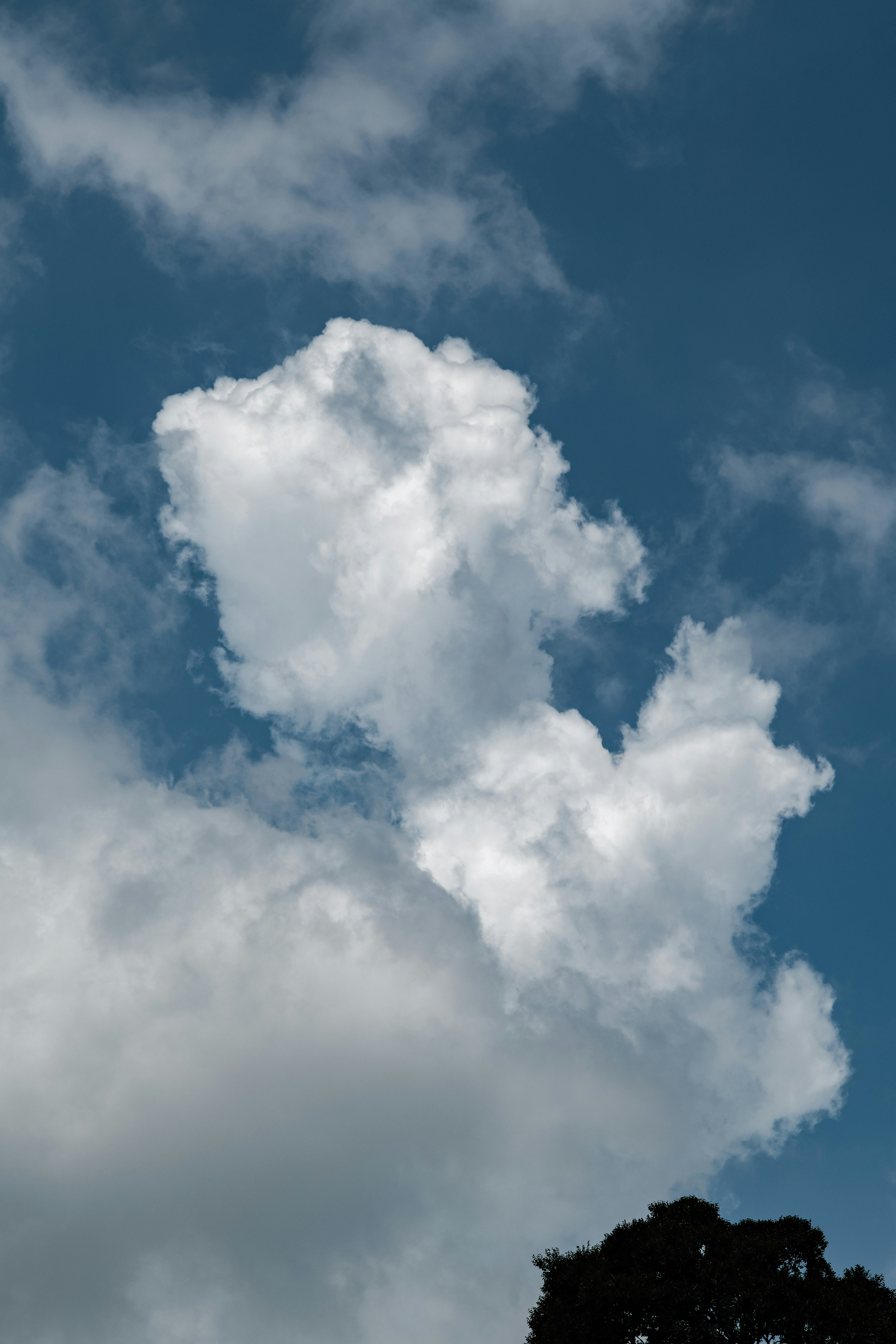 夏の雲が広がる空と入道雲のような白い雲
