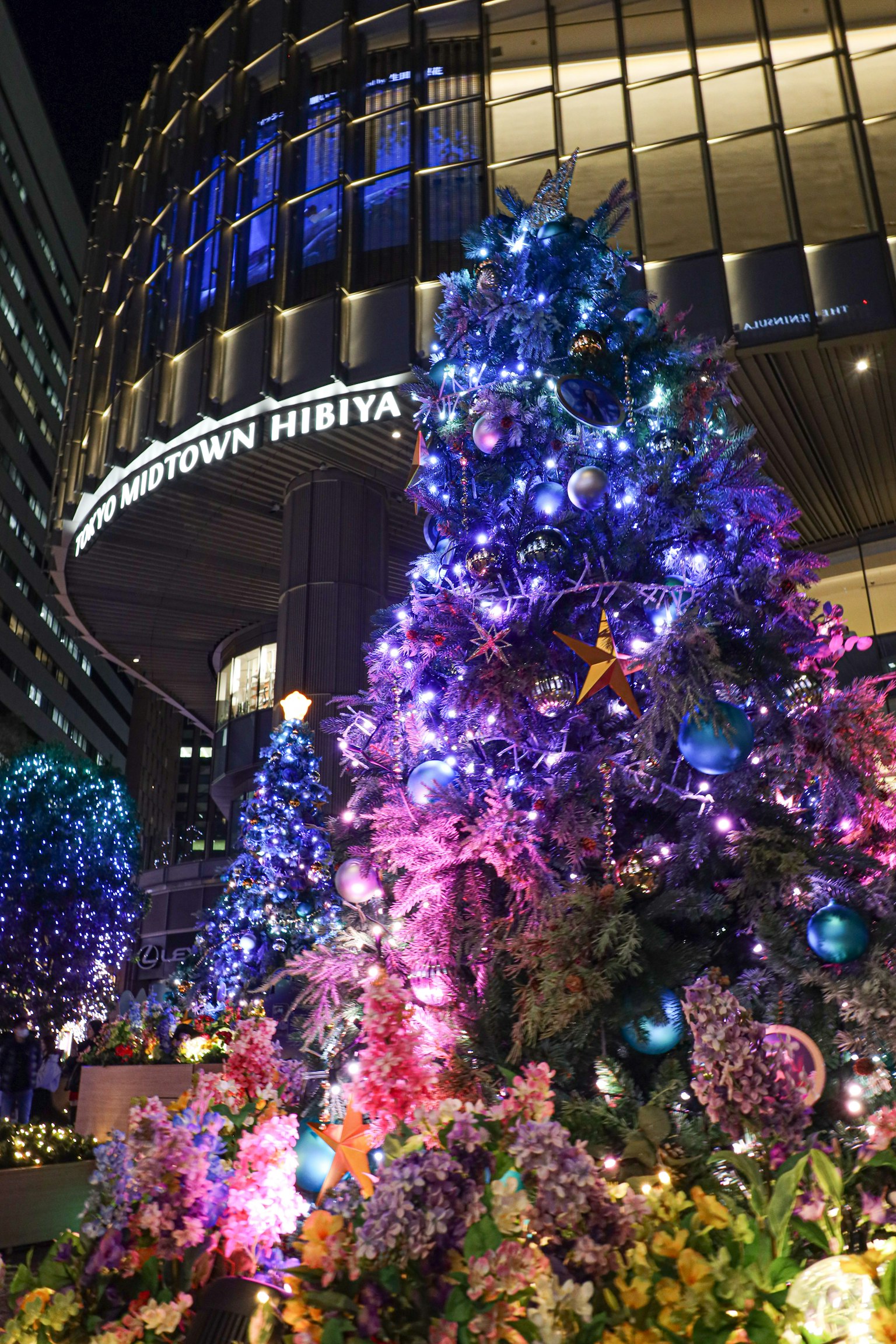 Arbres de Noël magnifiquement illuminés dans le quartier de Hibiya la nuit