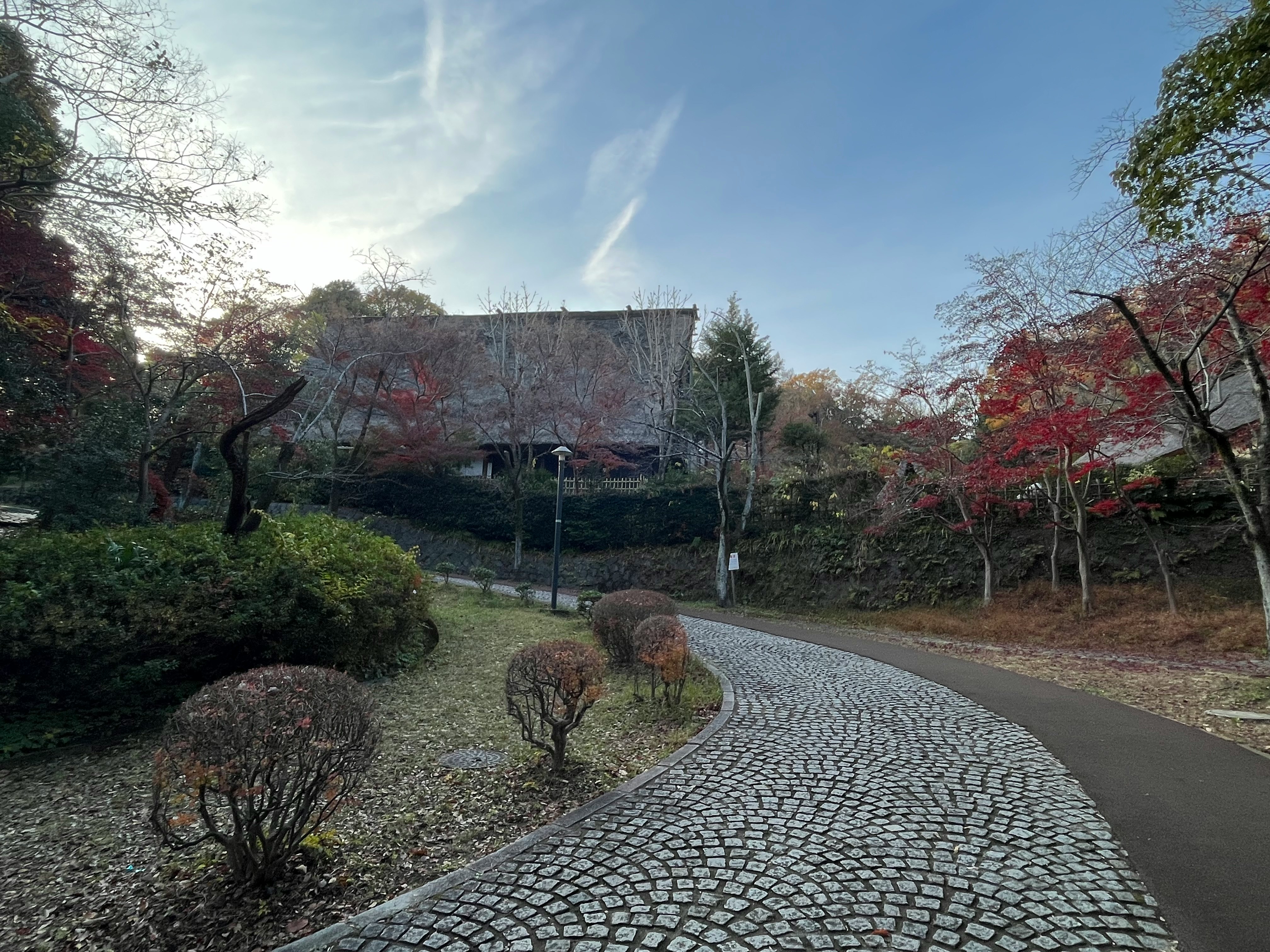 石畳の小道と紅葉の並木が続く庭園の風景