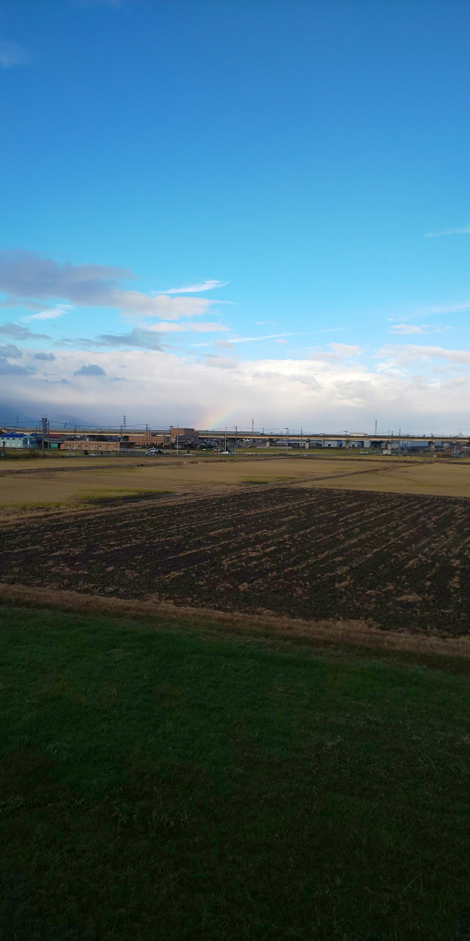 Terre agricole expansive sous un ciel bleu avec un paysage lointain