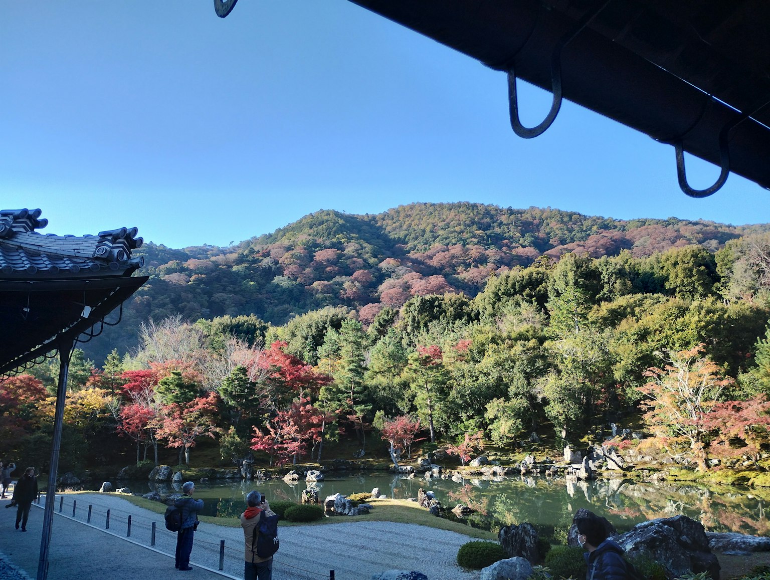 다채로운 나무와 배경의 산이 있는 경치