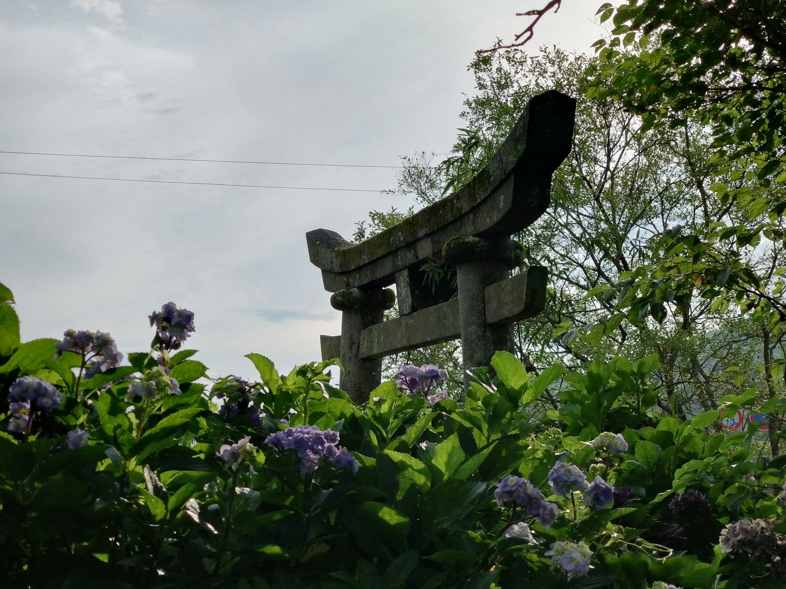 Steinernes Torii-Tor umgeben von lila Blumen in einem üppigen Garten