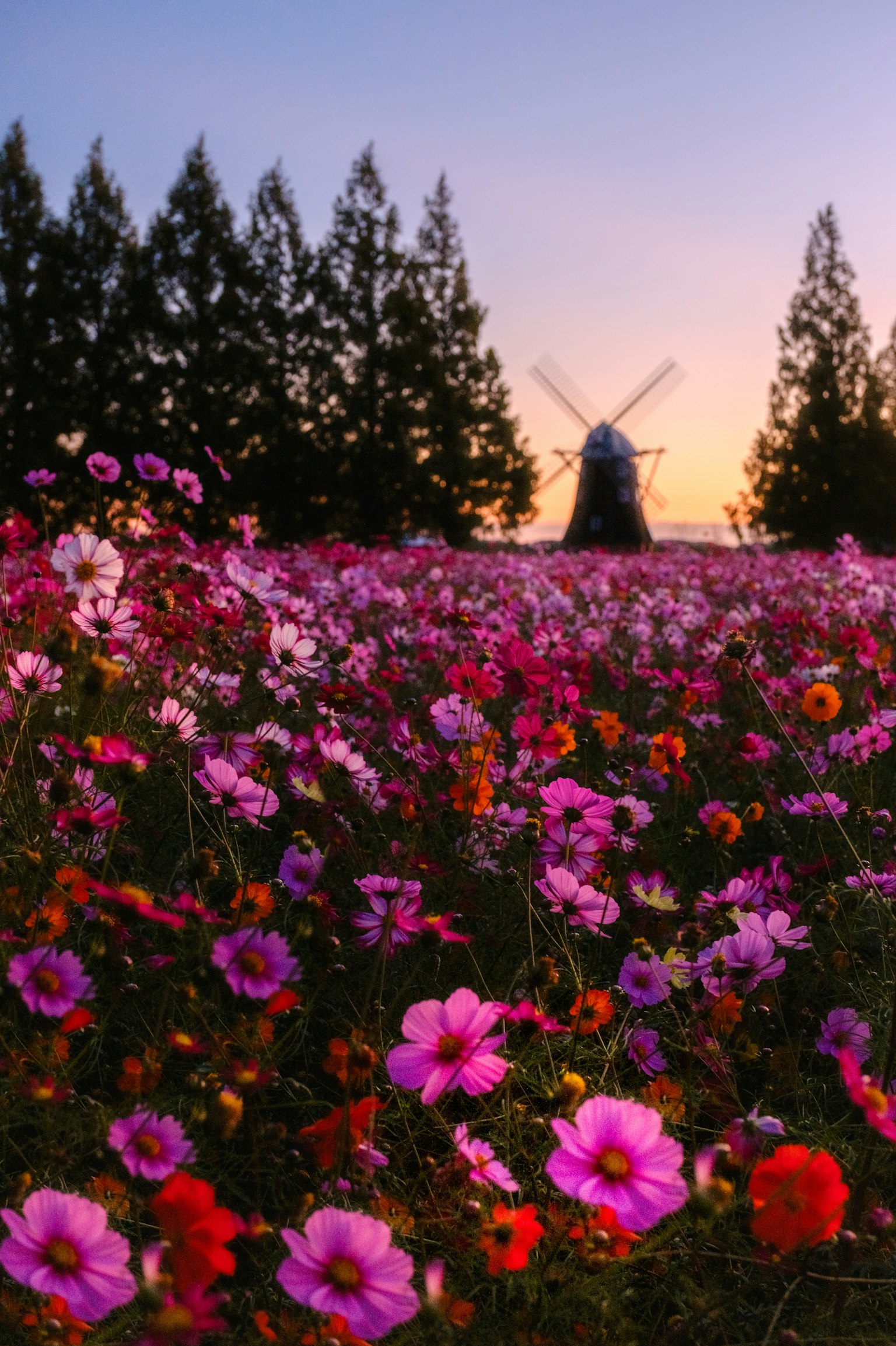 photo-BO33x9V7fy2HKTHivLfc-image