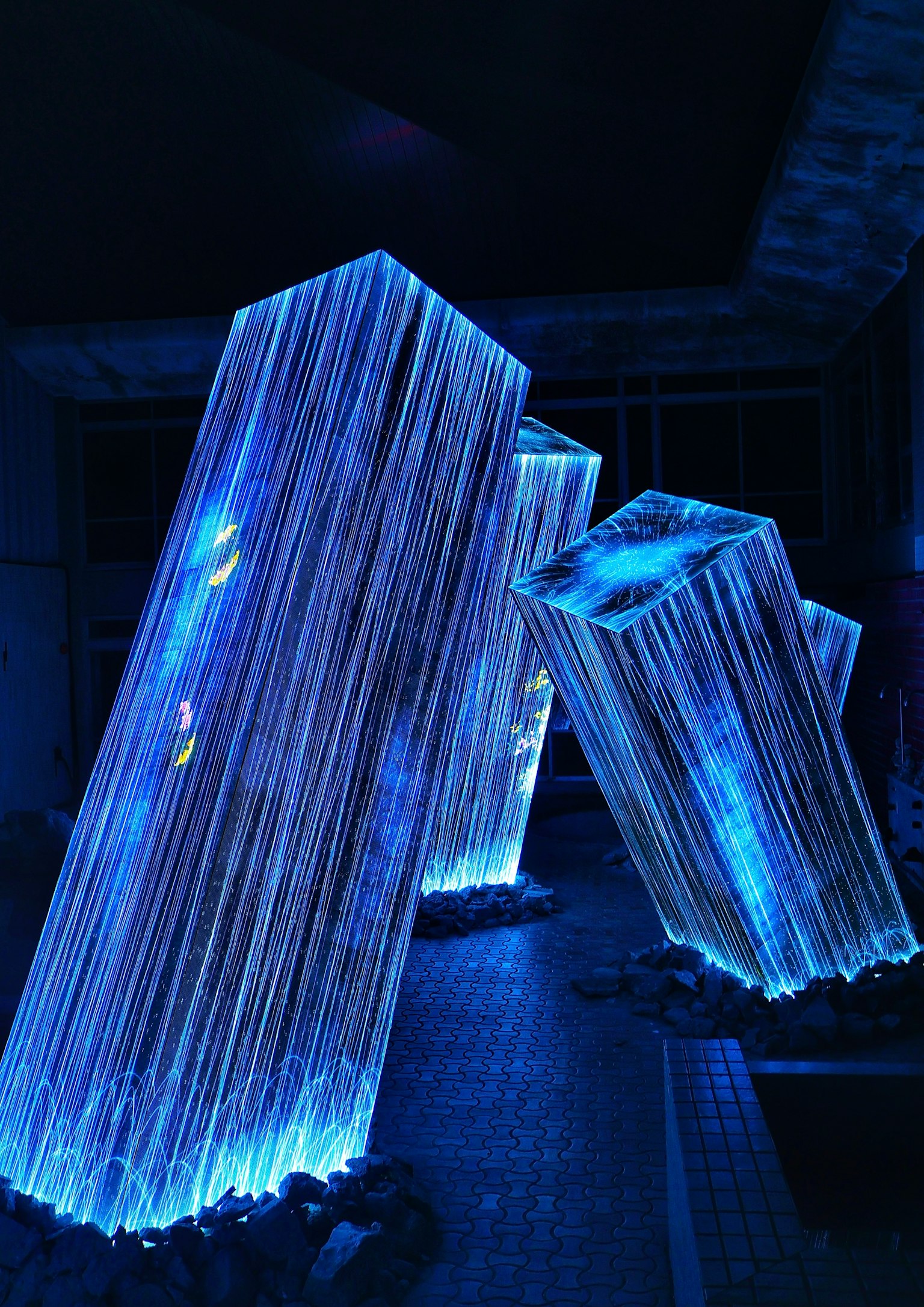 青い光で照らされた透明な立方体のオブジェクトが並ぶアートインスタレーション