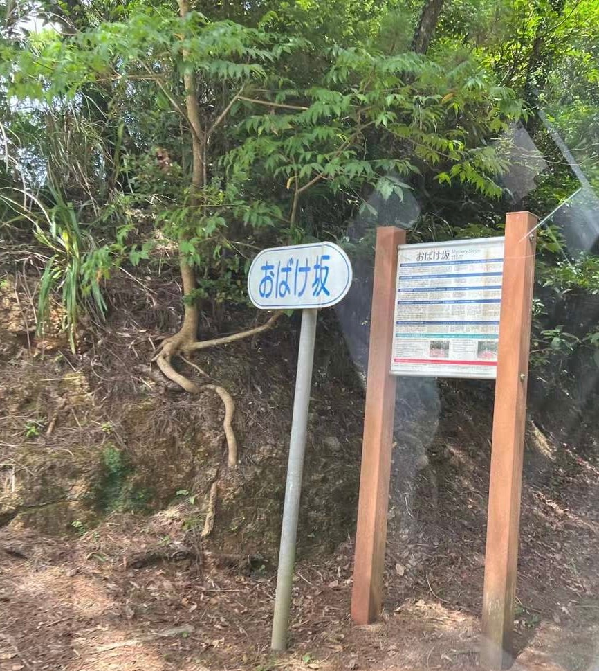 Paysage naturel sur un sentier en pente avec un panneau « Ohakezaka »