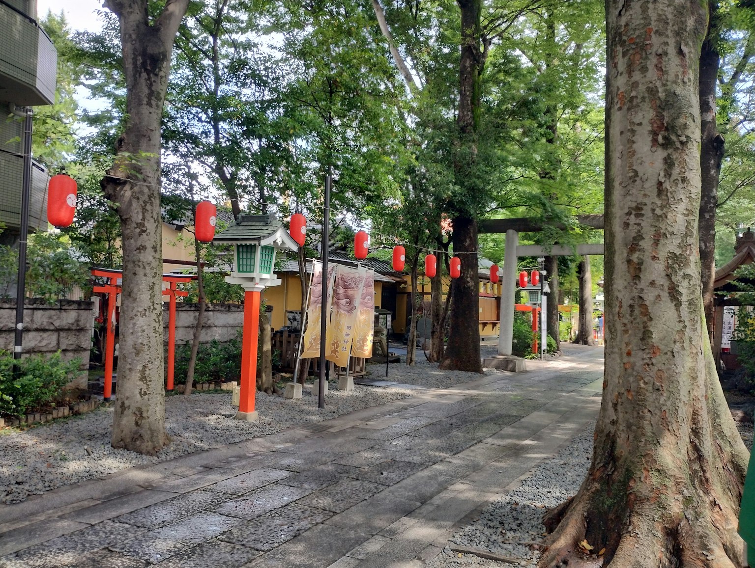 ทิวทัศน์ที่สวยงามของเส้นทางที่เรียงรายด้วยโทริอิและโคมไฟแดงในสวนที่เขียวขจี