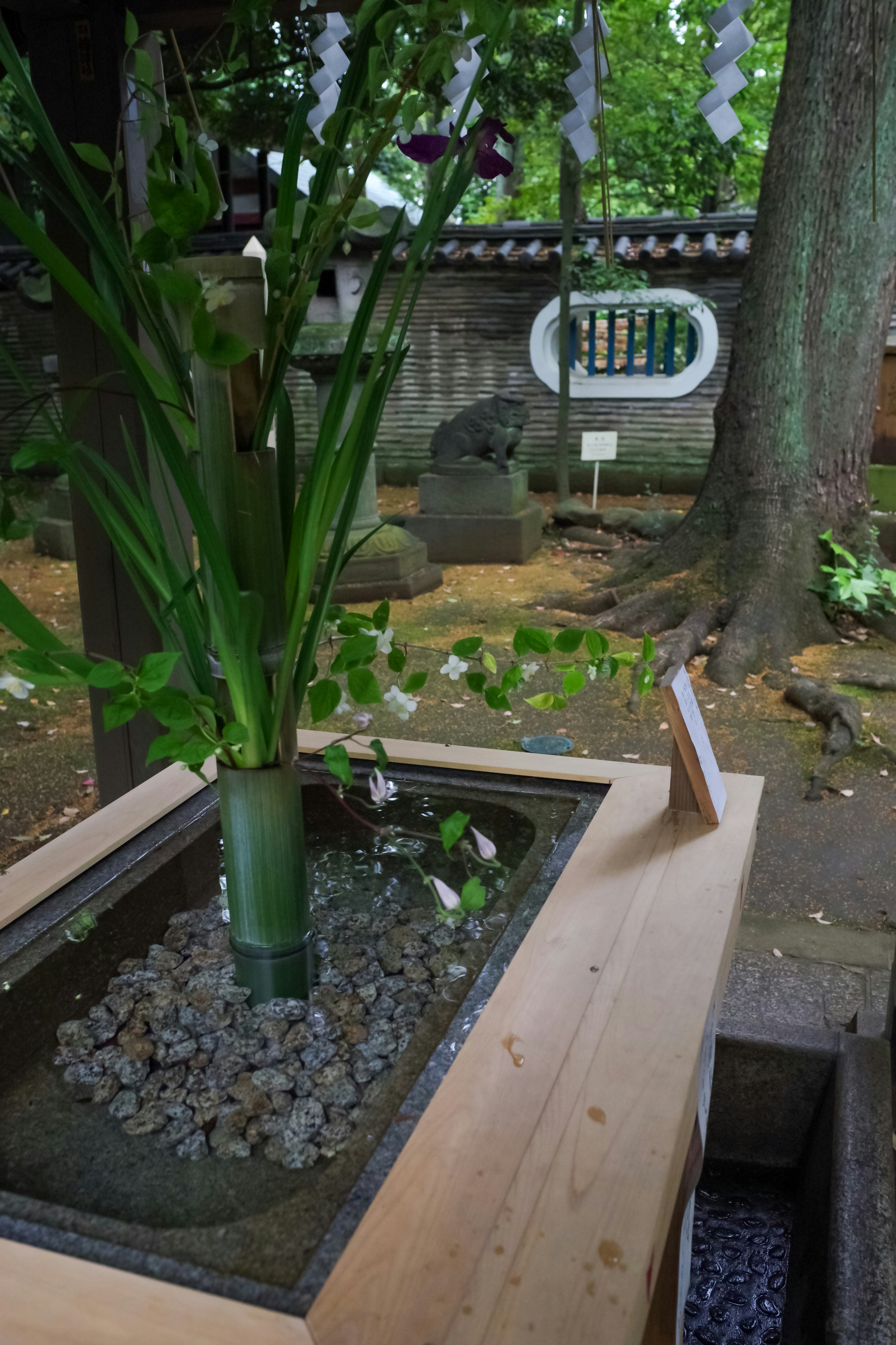 pequeño estanque de jardín con bambú y musgo junto a las piedras