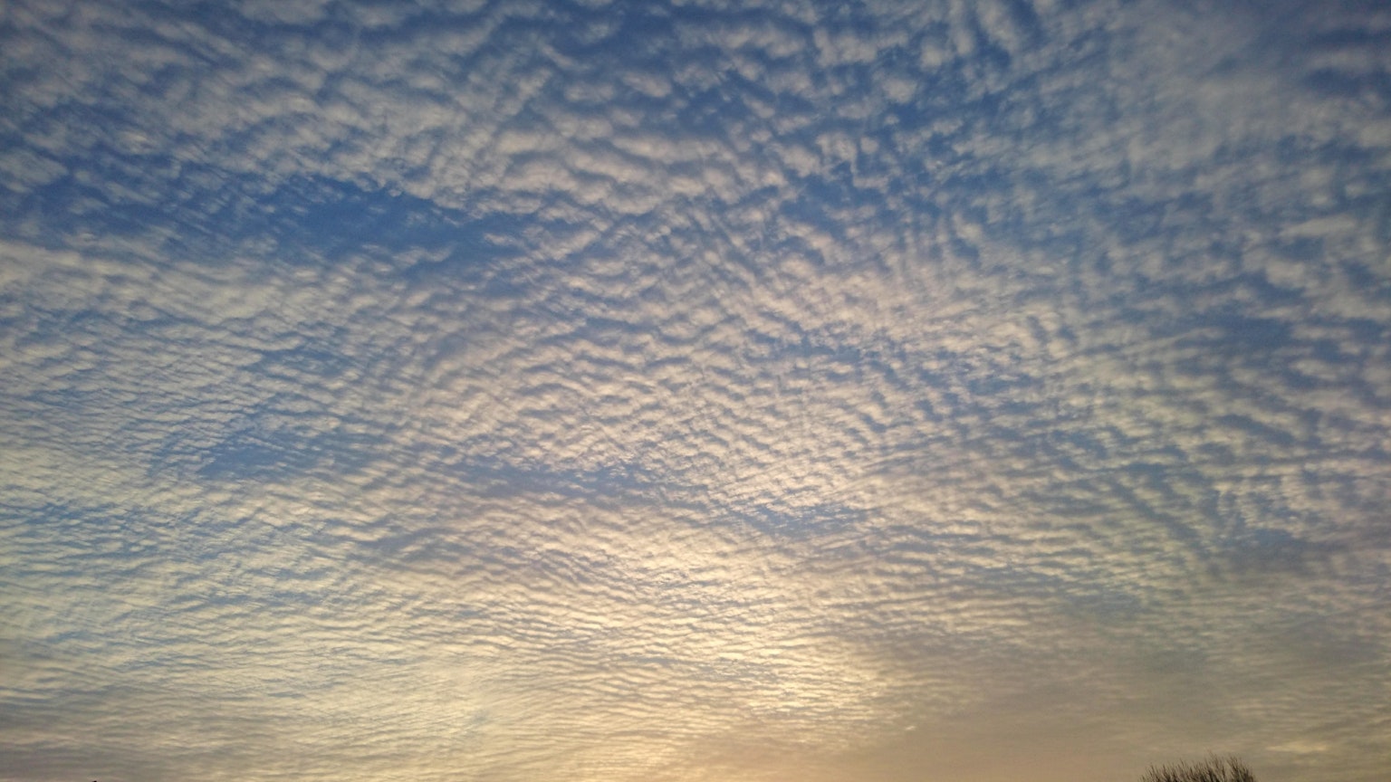 美麗的波浪雲景觀蔓延在藍天之上