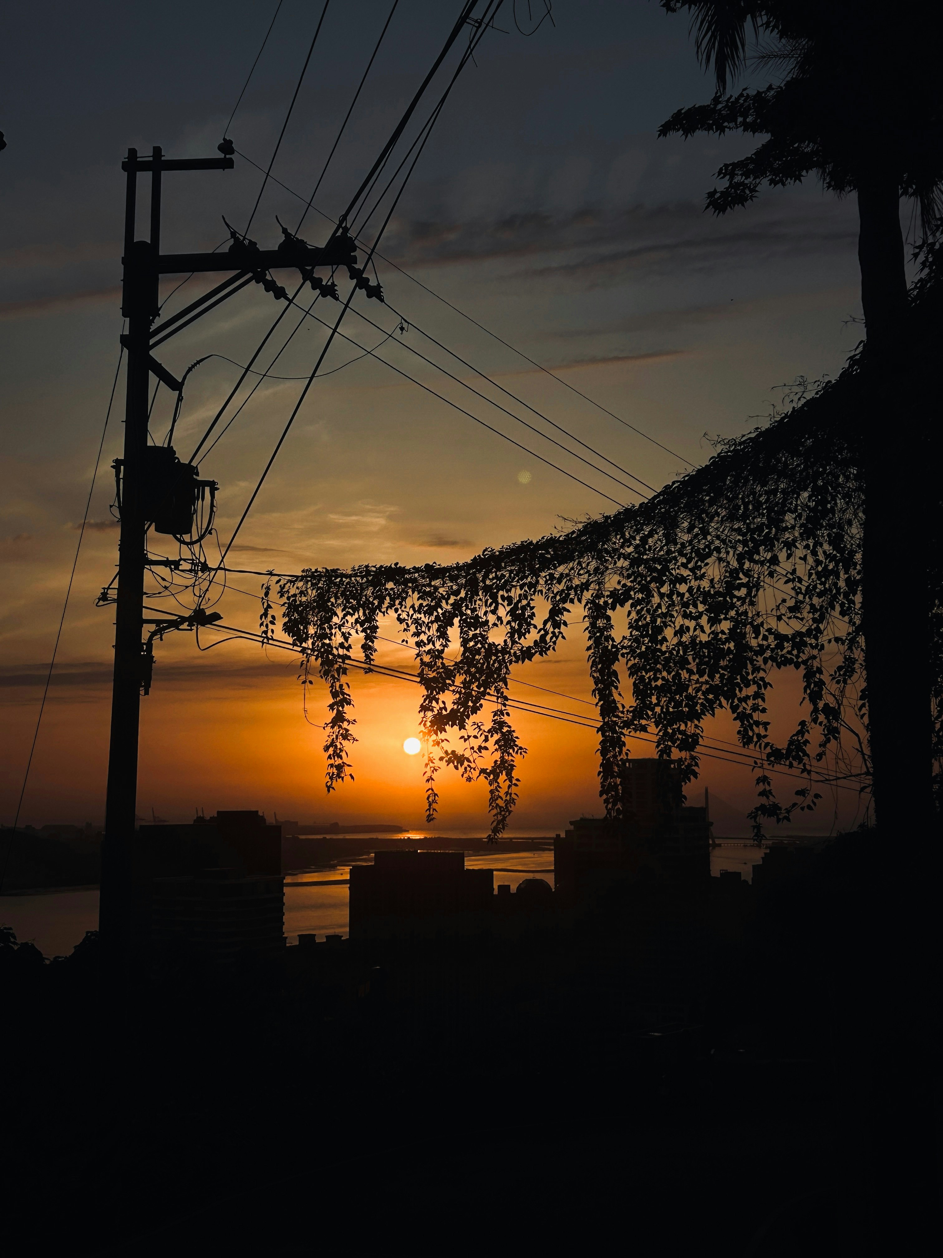 夕暮れの空と電線、街並みのシルエット