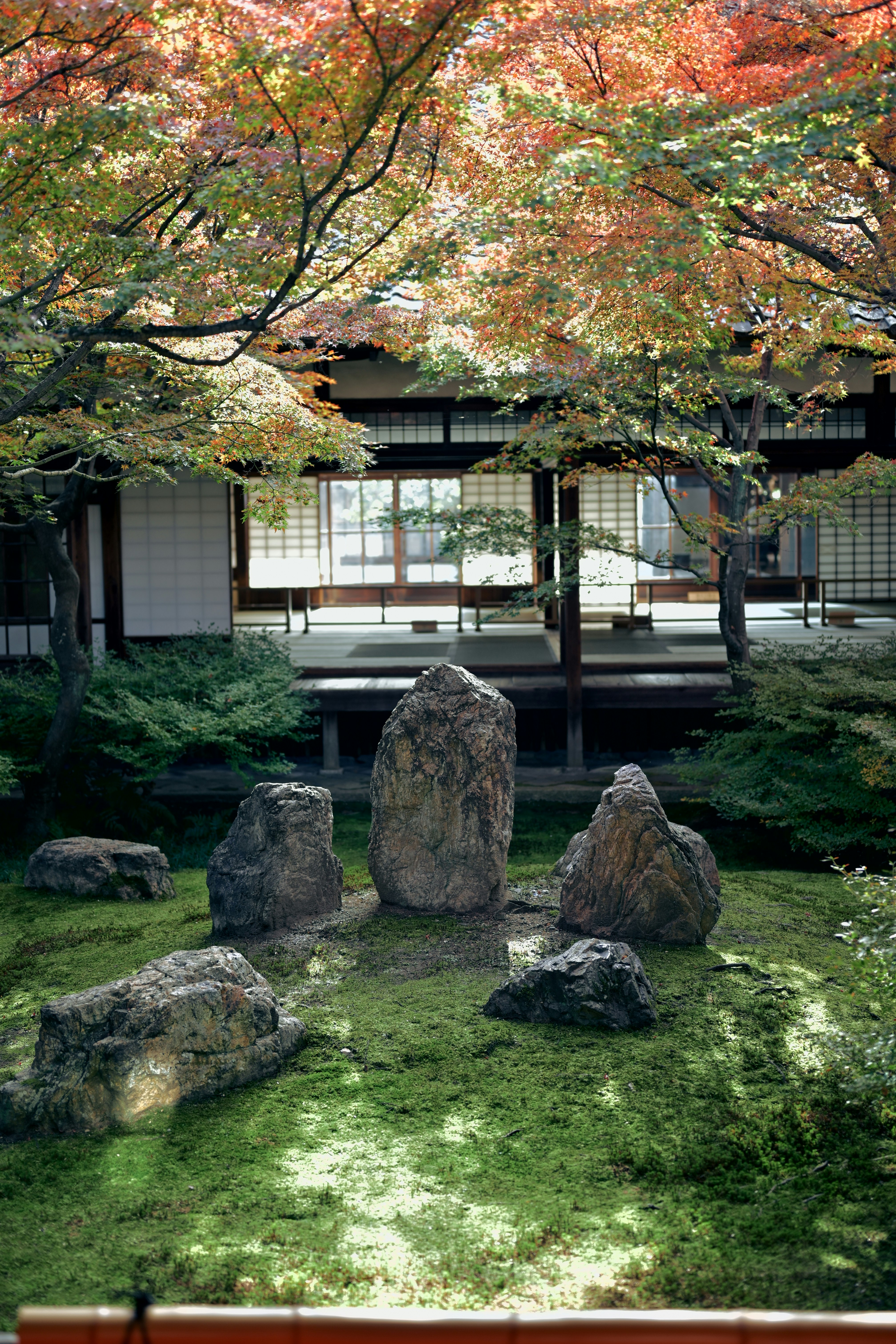 庭園の苔むした石と紅葉の木々が映る和風の建物