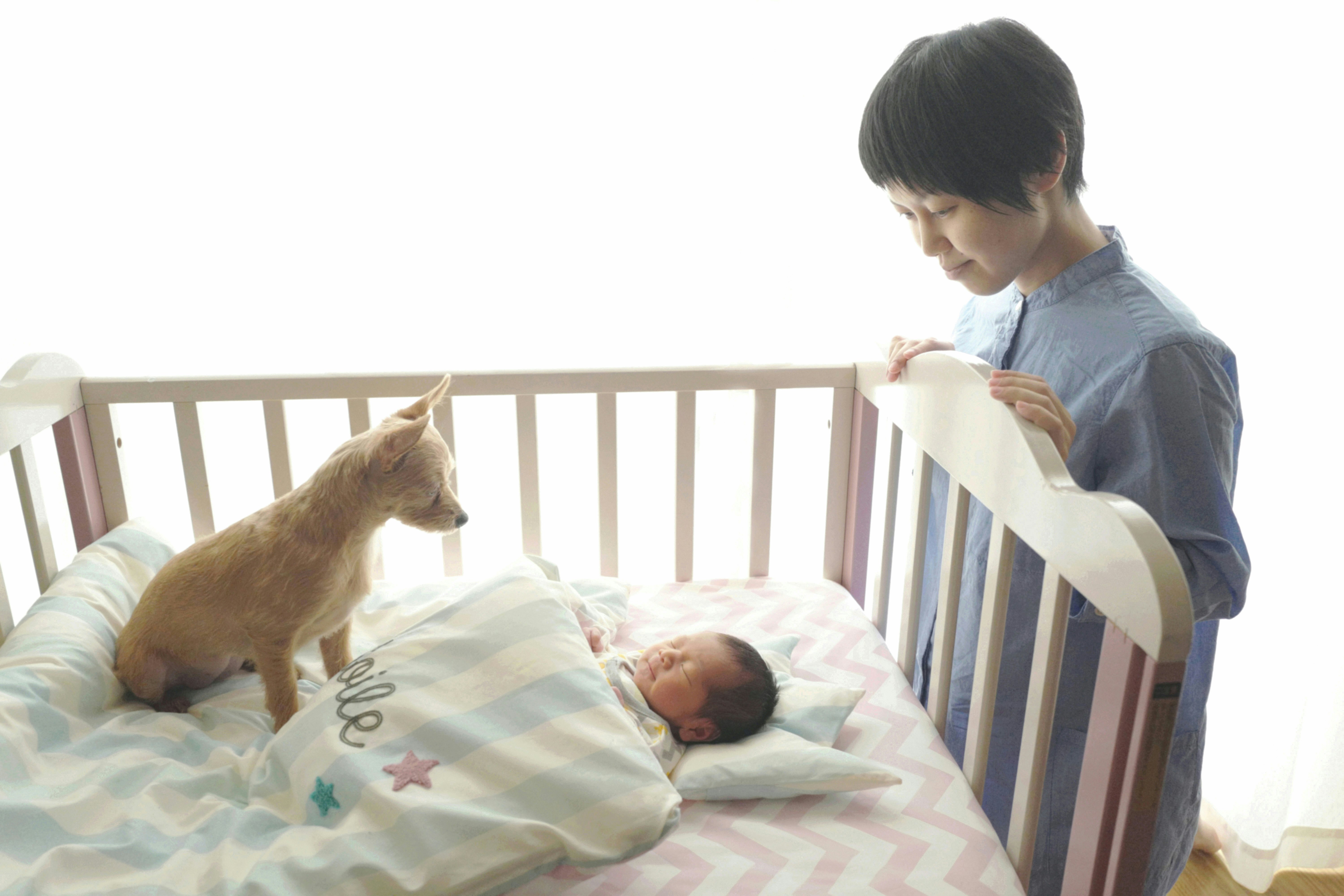 ベッドで子どもと犬が一緒に過ごす寝室のワンシーン