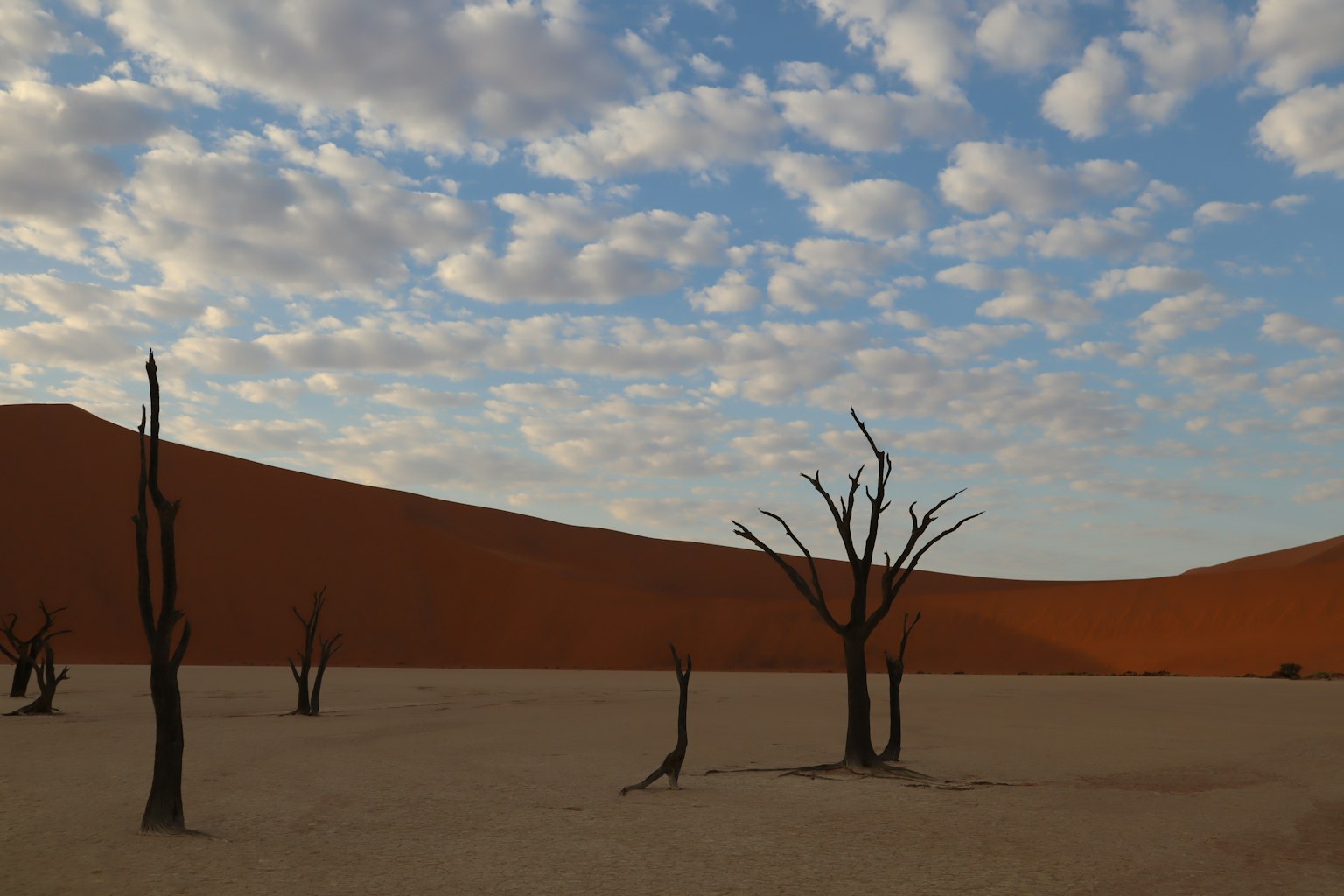 Pemandangan Gurun Namib dengan pohon mati dan bukit pasir oranye