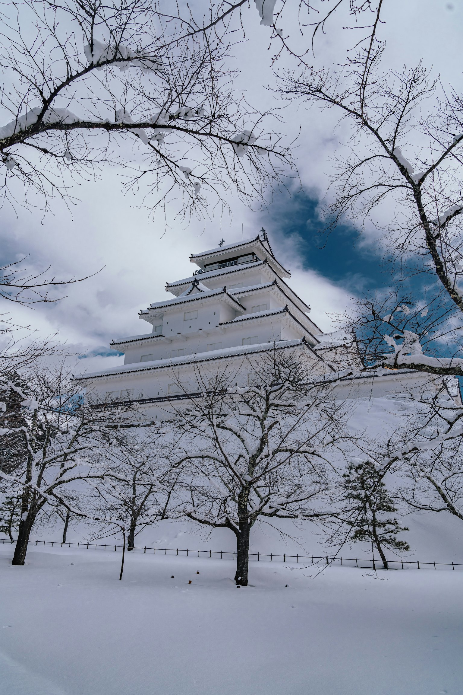 photo-BRGWRlvyNV0Se5UXa2vB-image