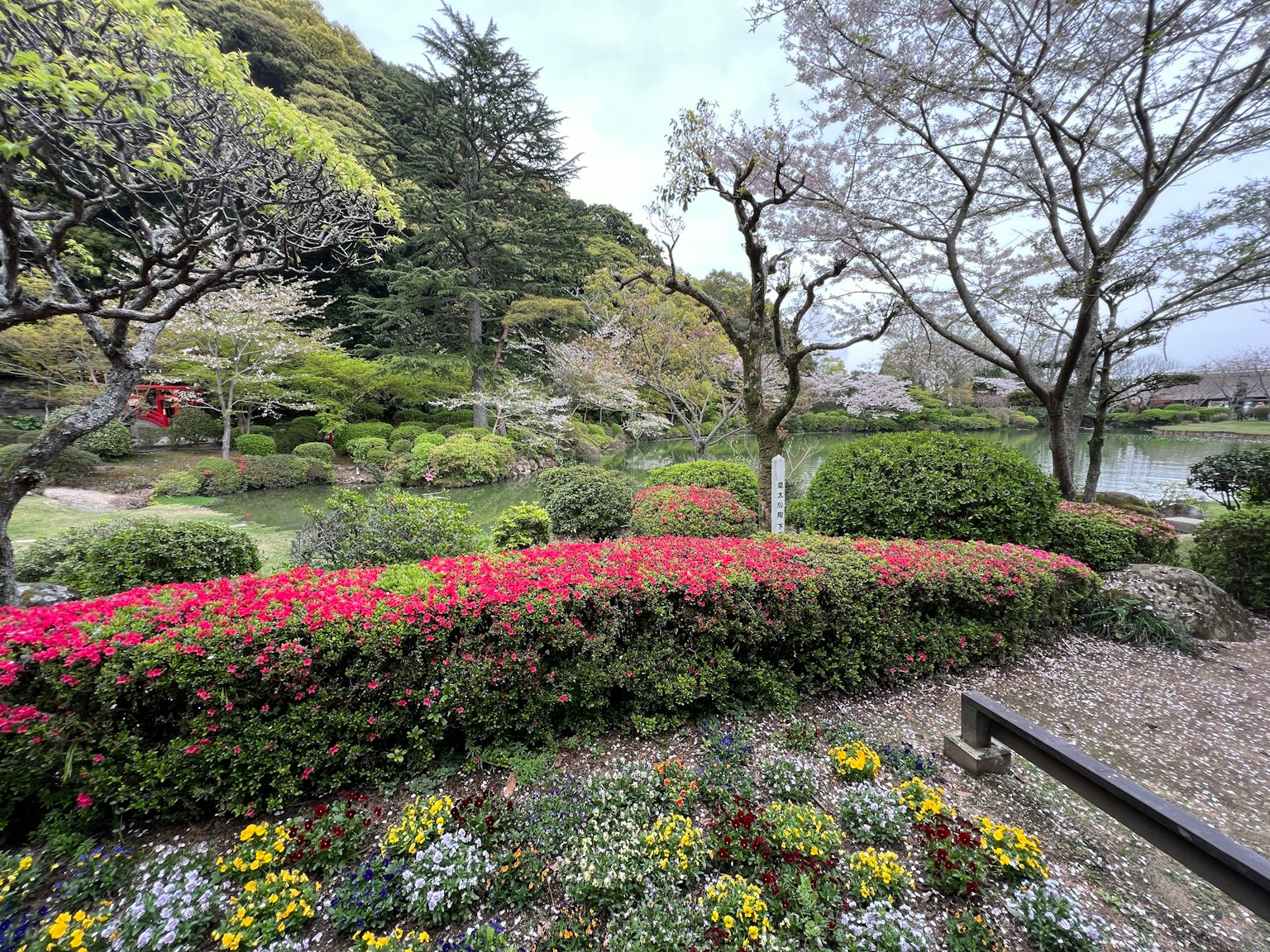 日本花园中五彩缤纷的花朵郁郁葱葱的绿树和宁静的水面营造出宁静的氛围