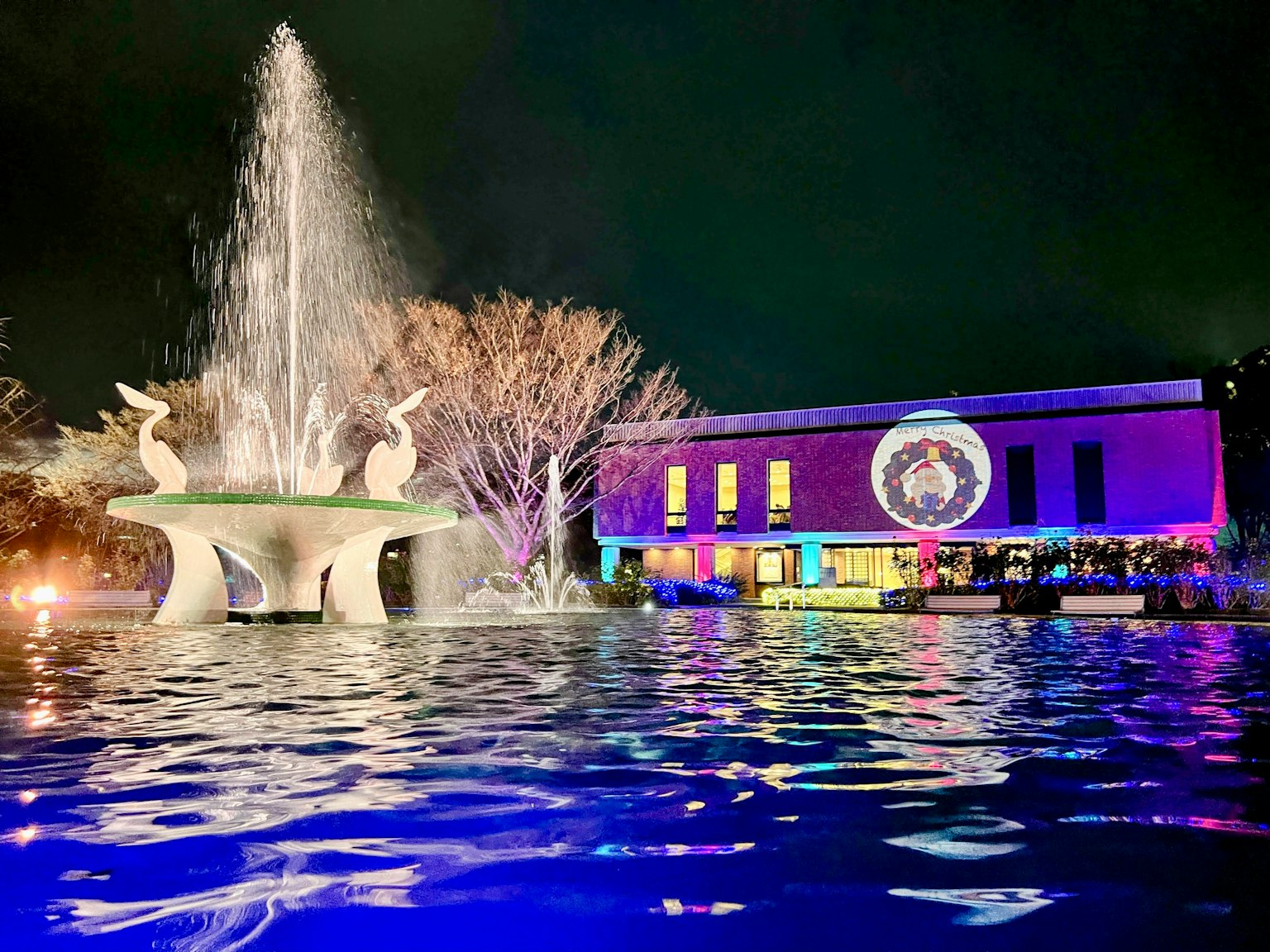 夜晚噴泉和亮燈建築的美麗景觀