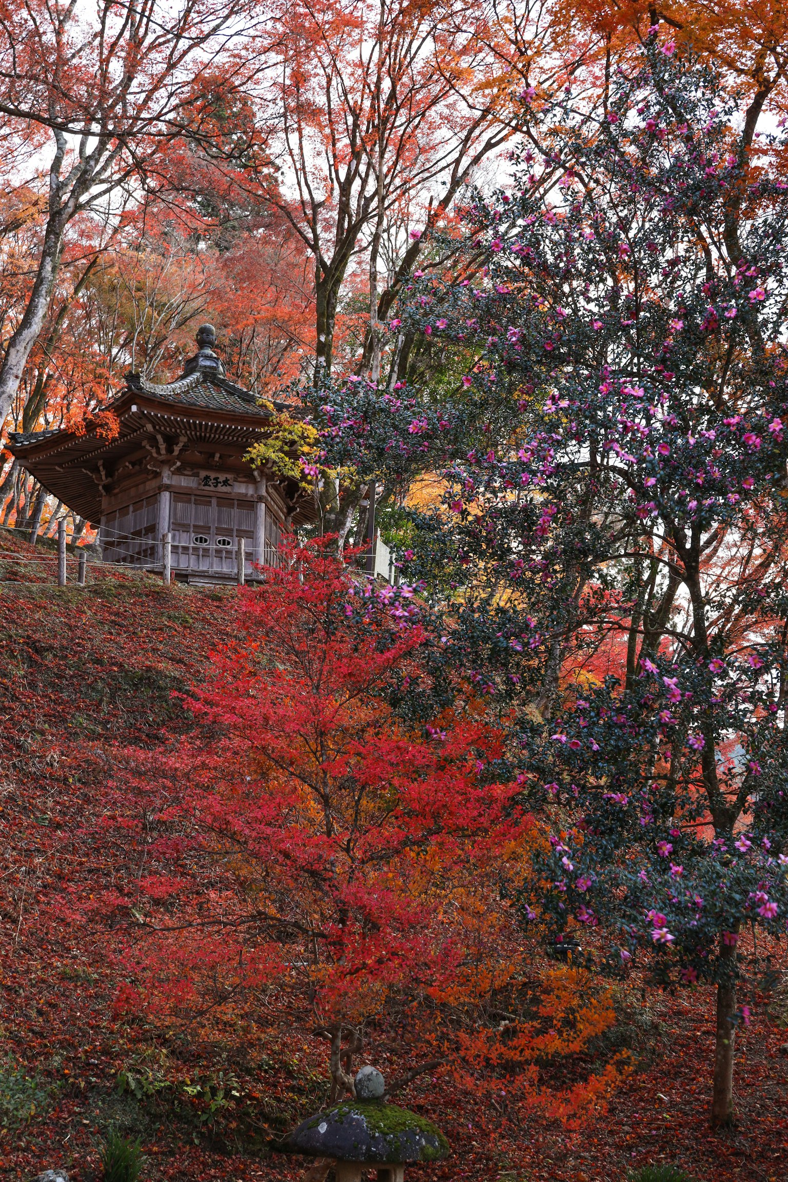 Edificio japonés tradicional rodeado de follaje otoñal vibrante árboles coloridos de fondo