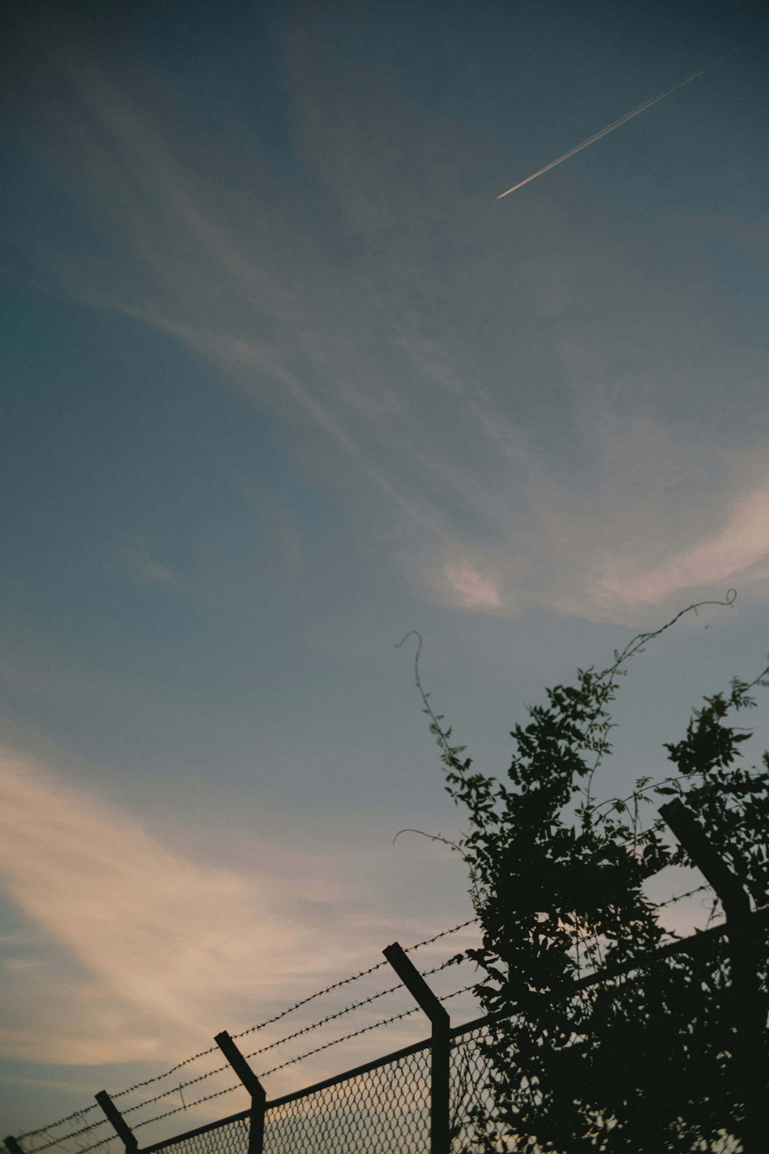 夕陽下的圍籬輪廓