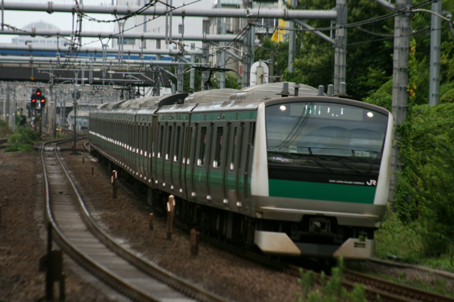 Un train vert circulant le long des rails entouré de verdure