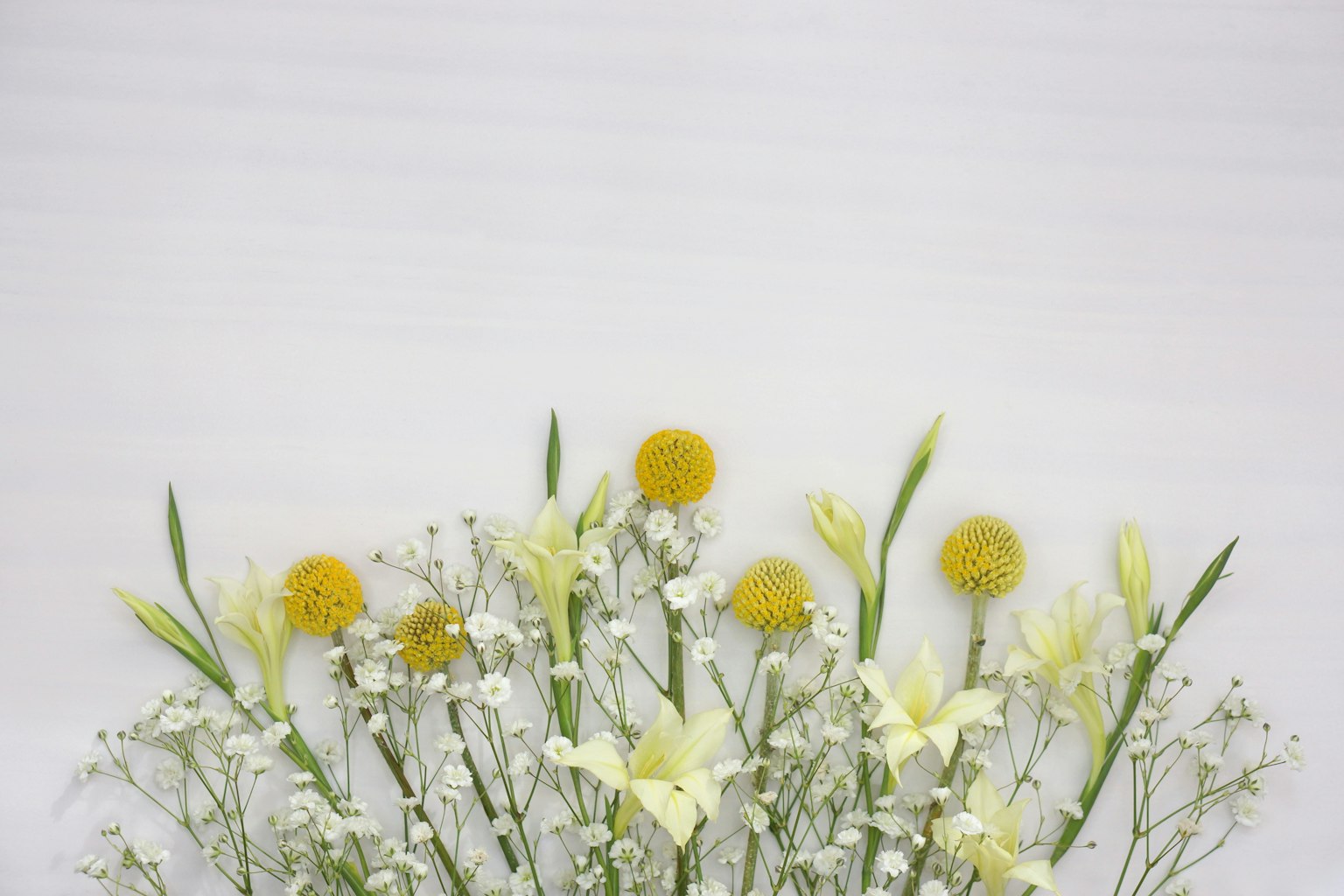 Ein Strauß aus gelben und weißen Blumen vor einem weißen Hintergrund