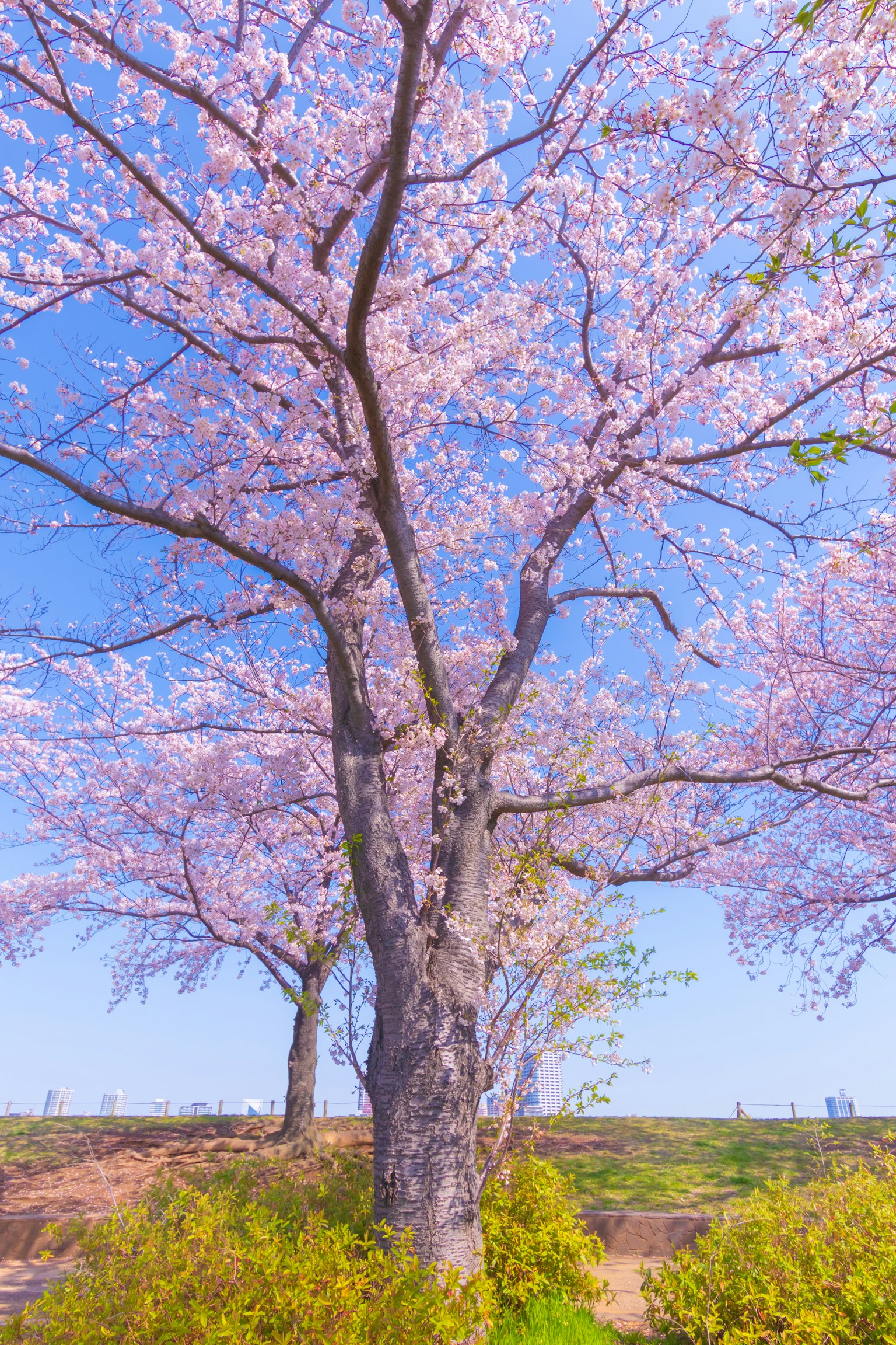 photo-BURoo3uQ9EX1ZRZssV0u-image