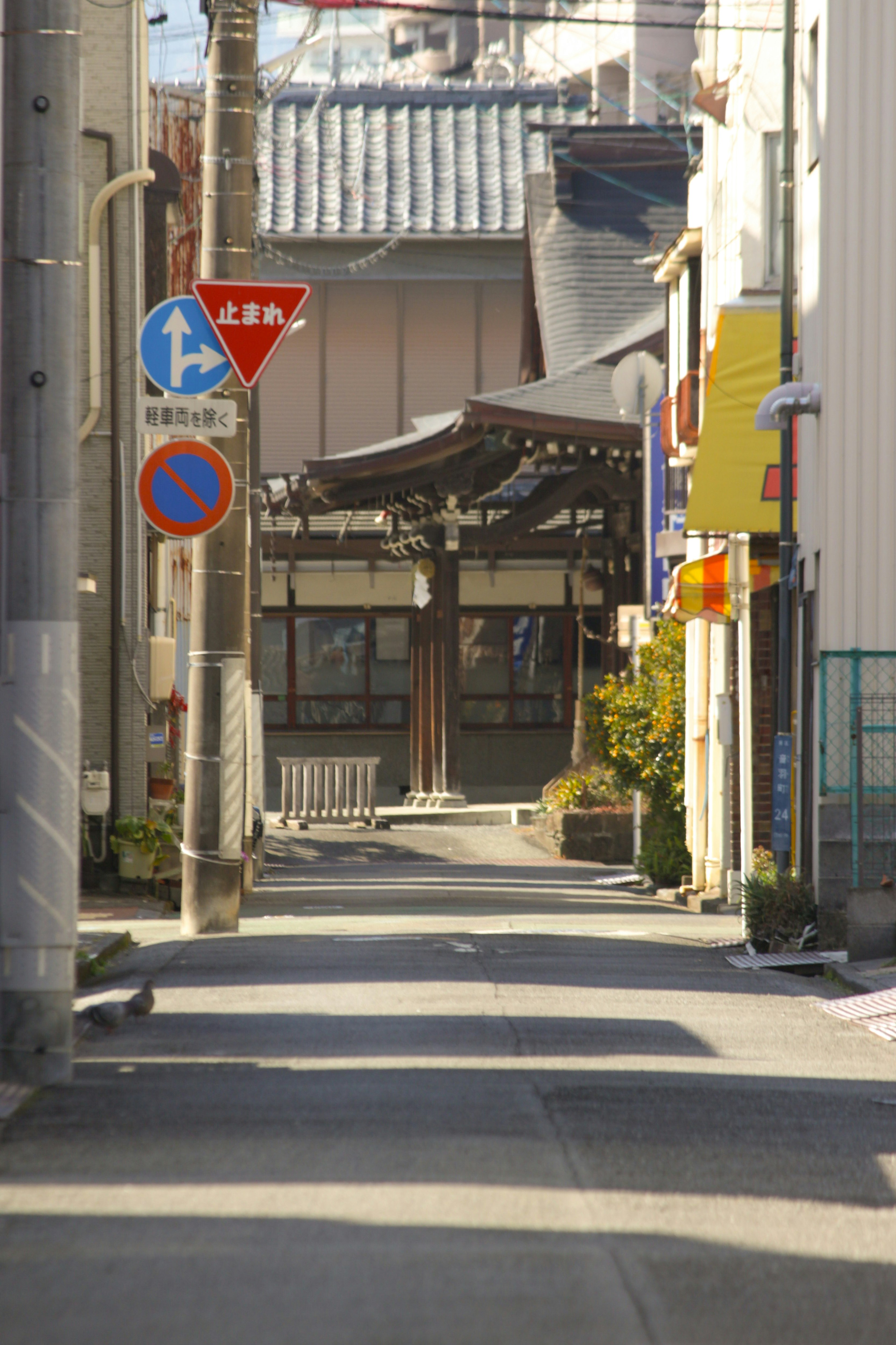狭い通りの先に伝統的な建物が見える風景
