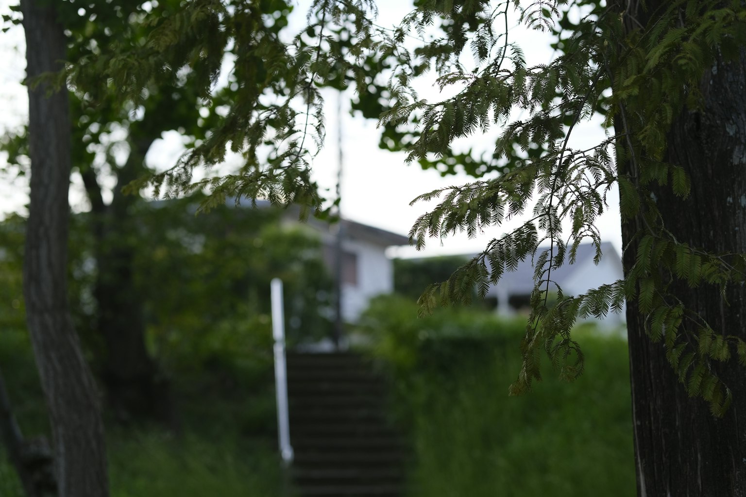 Una parte di una casa con scale circondata da alberi verdi